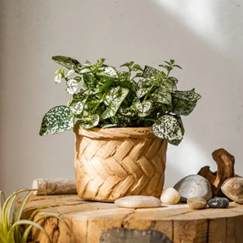 Bamboo Looking Cement Planter - The Mayfair Hall