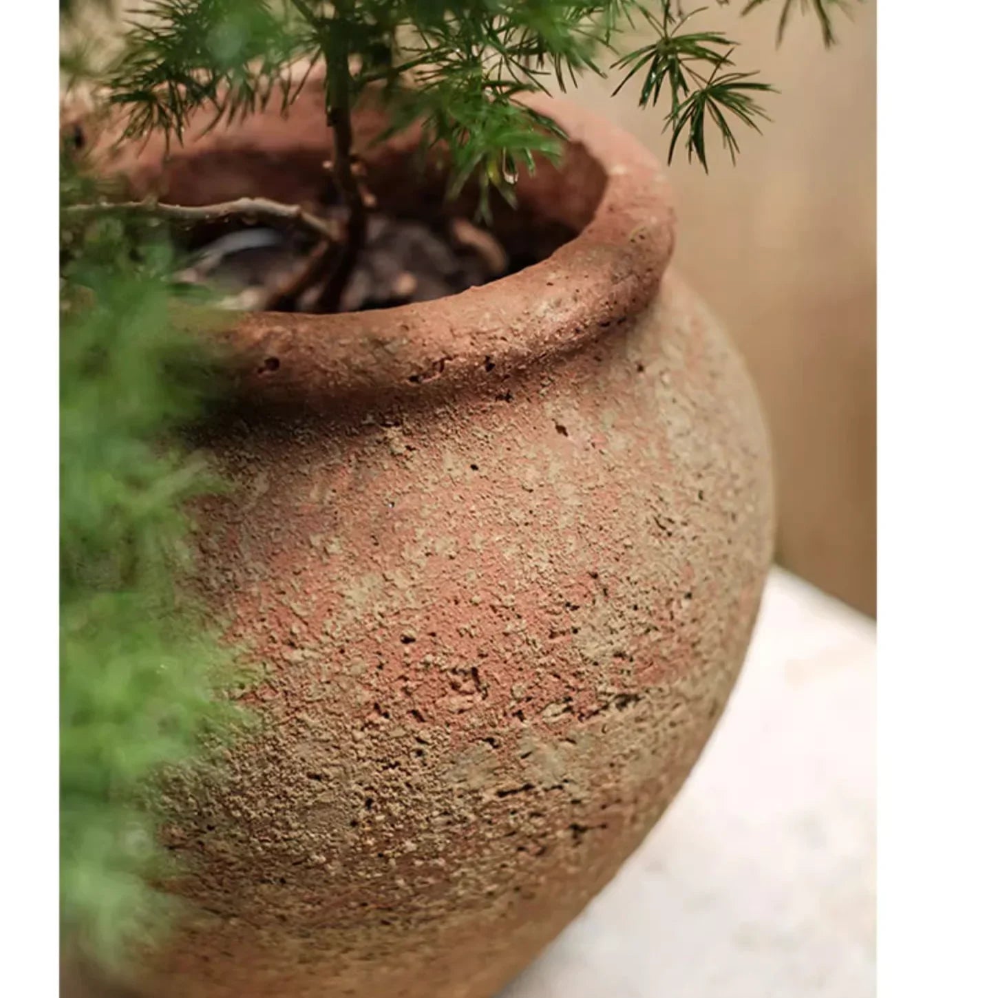 Distressed Cement Plant Pot - The Mayfair Hall
