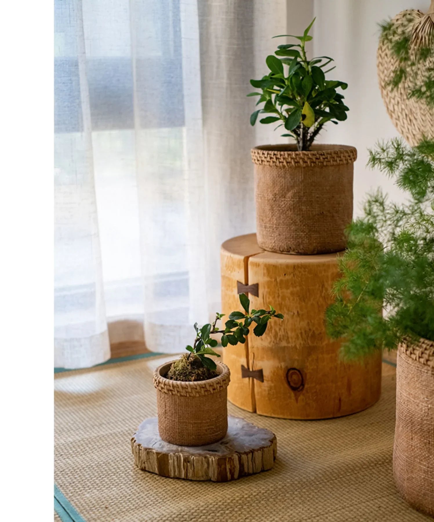Straw Looking Concrete Planter - The Mayfair Hall