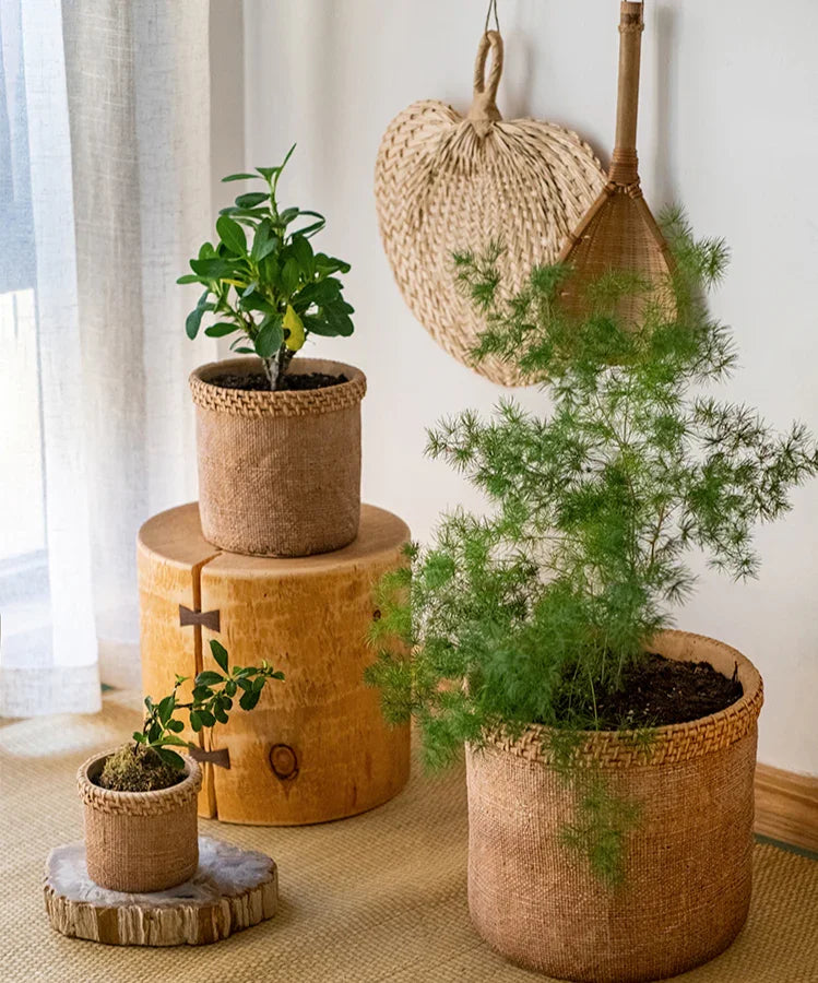 Straw Looking Concrete Planter - The Mayfair Hall