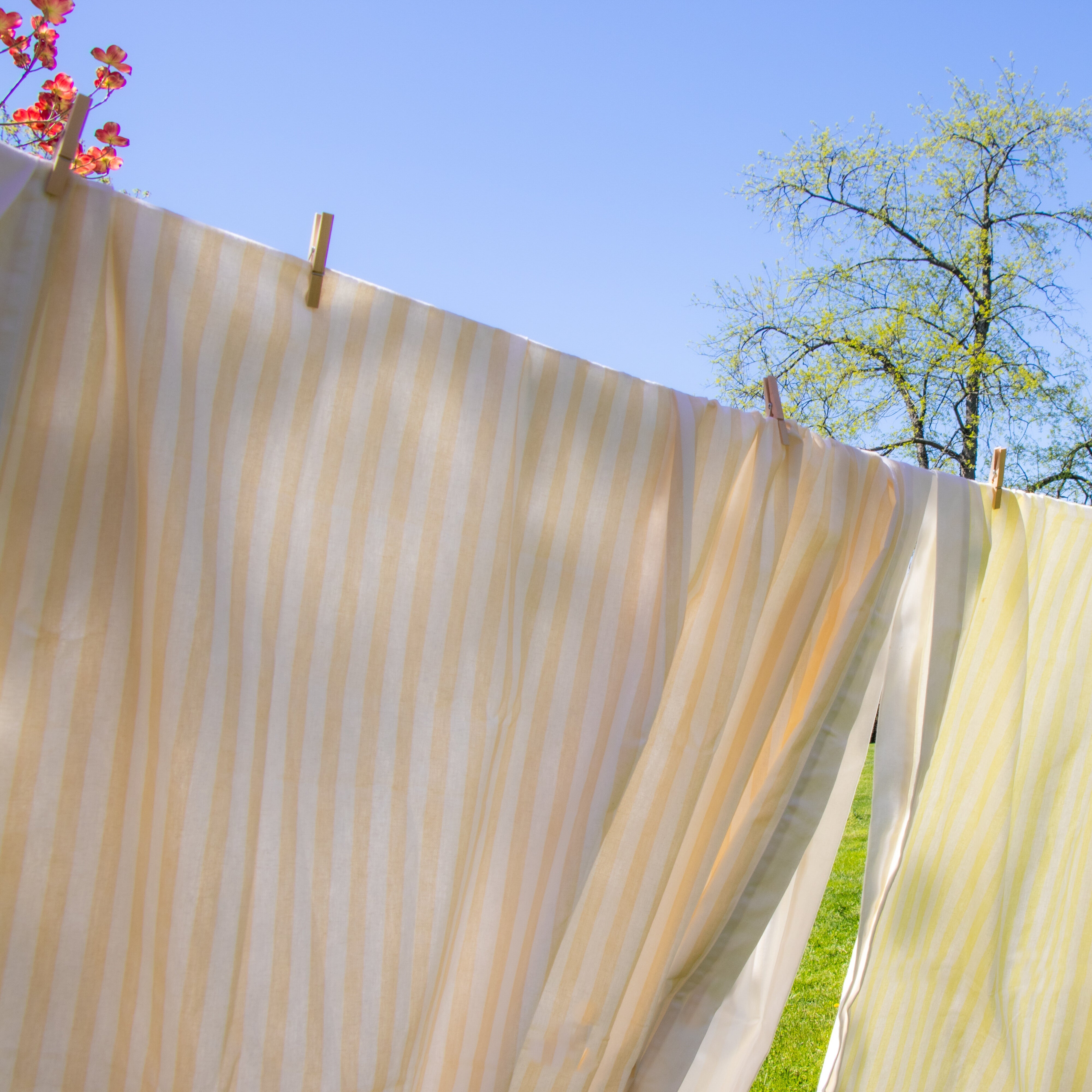 Lychee Sorbet Stripe Cotton and Linen Tablecloth in Yellow and White