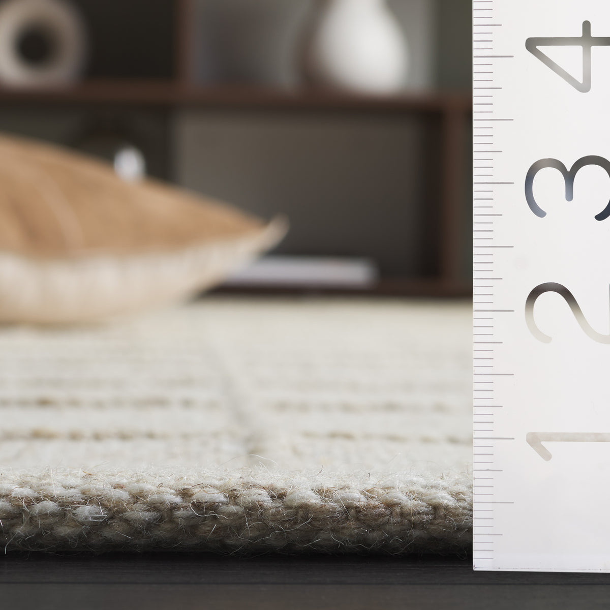 Natura Modern Handwoven Area Rug in Beige