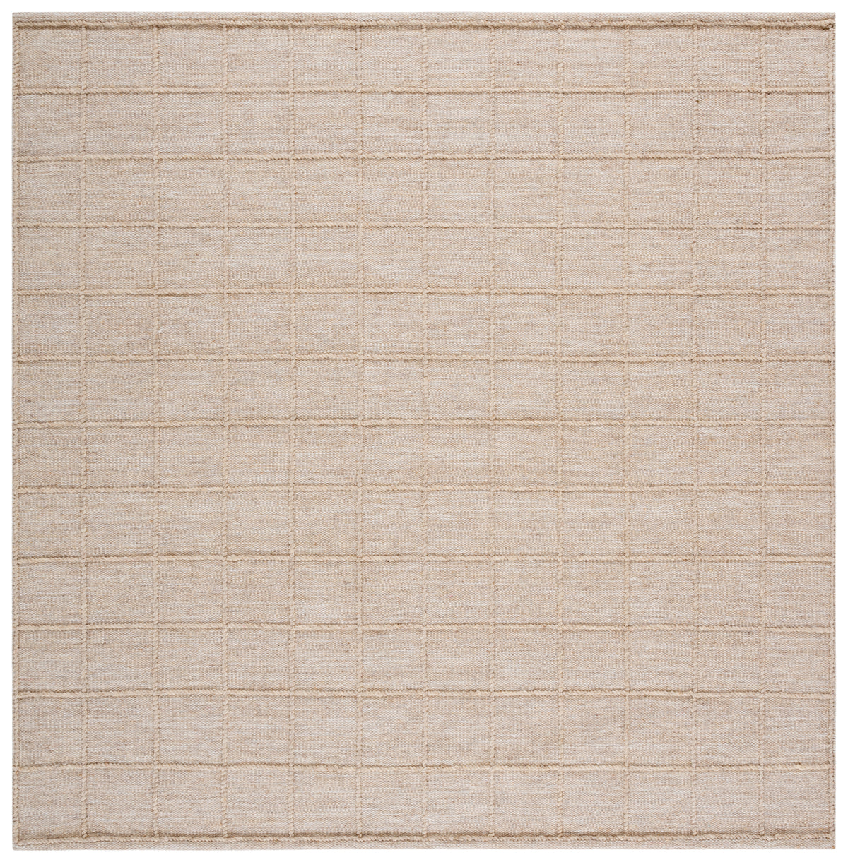 Natura Modern Handwoven Area Rug in Beige