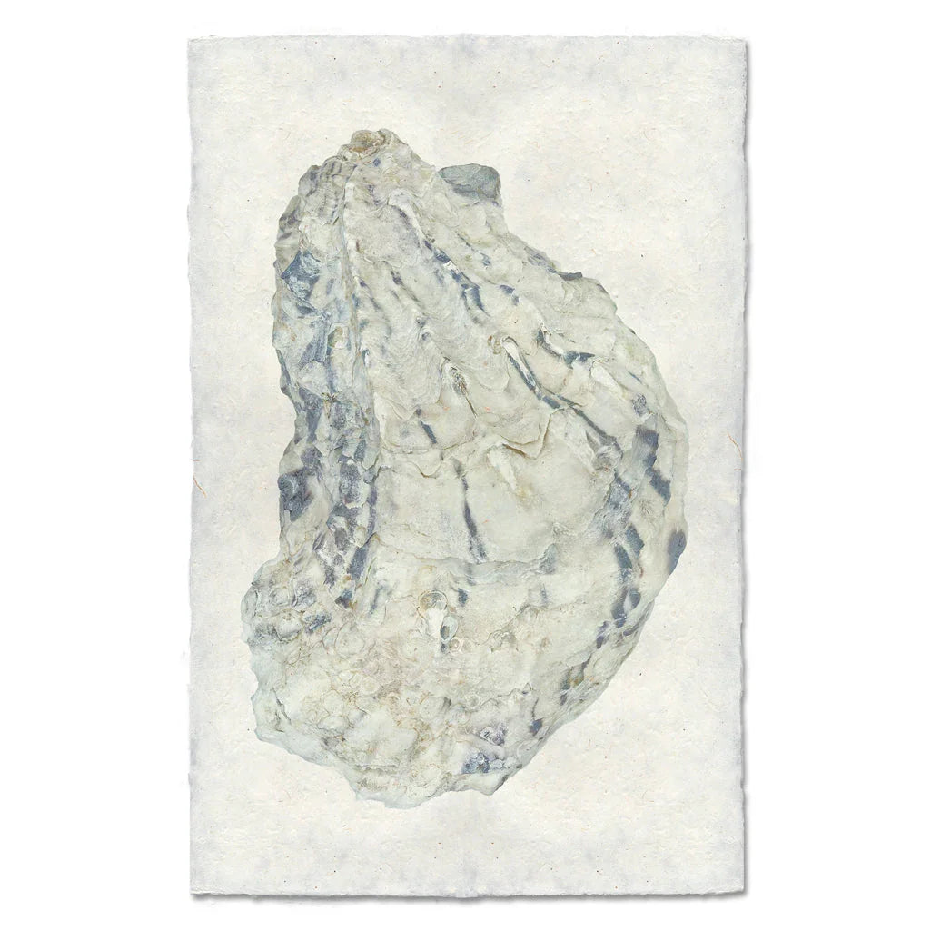 Oyster Study #15 - The Mayfair Hall