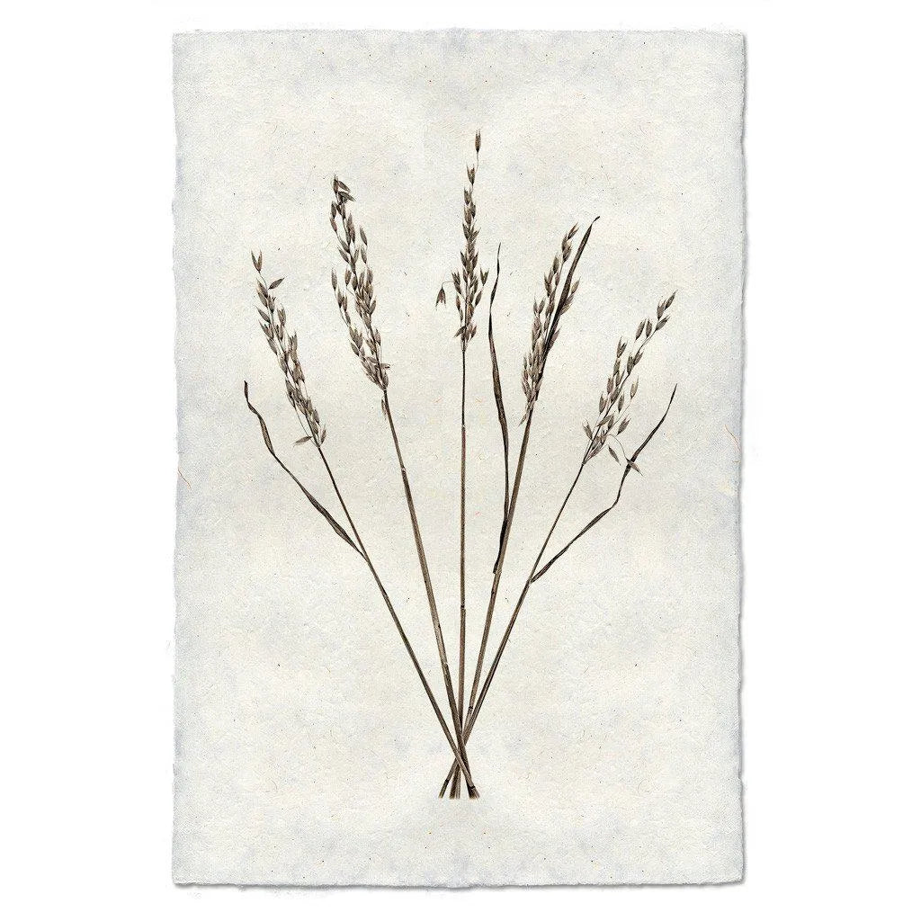 Oat Form - The Mayfair Hall