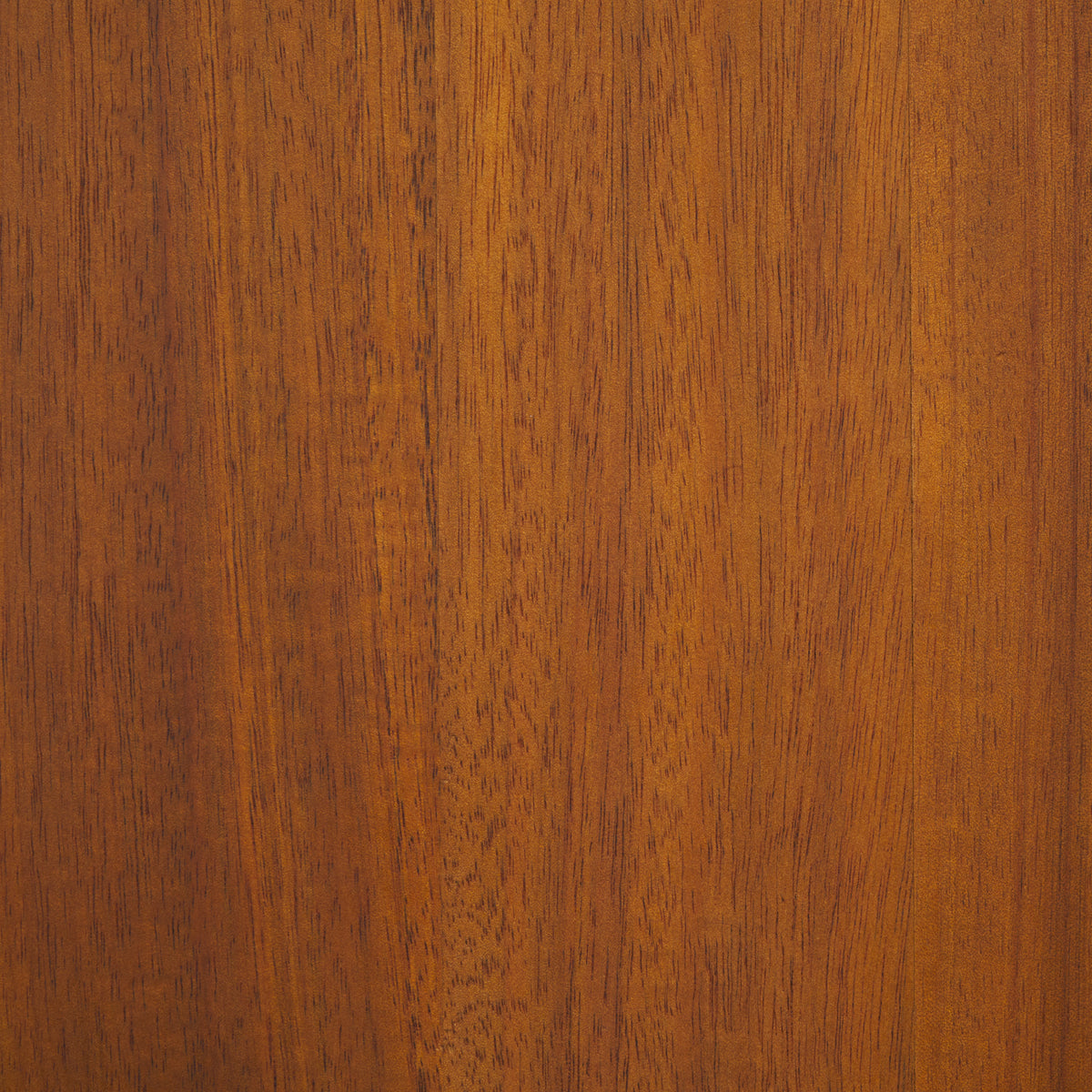 Maya Adirondack Chair in Teak