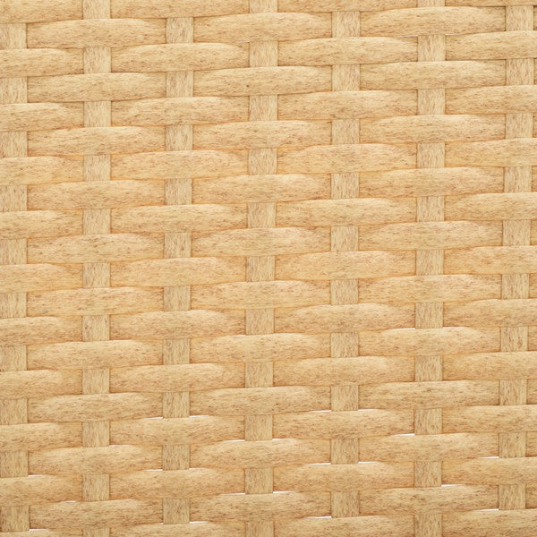 Torino Wicker Side Chair in Natural Wash (Set of 2)