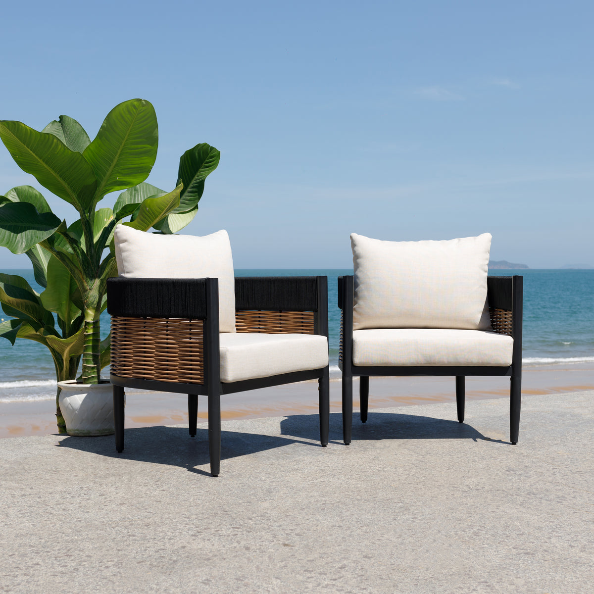 Harrison Chair in Black and Taupe — Set of 2