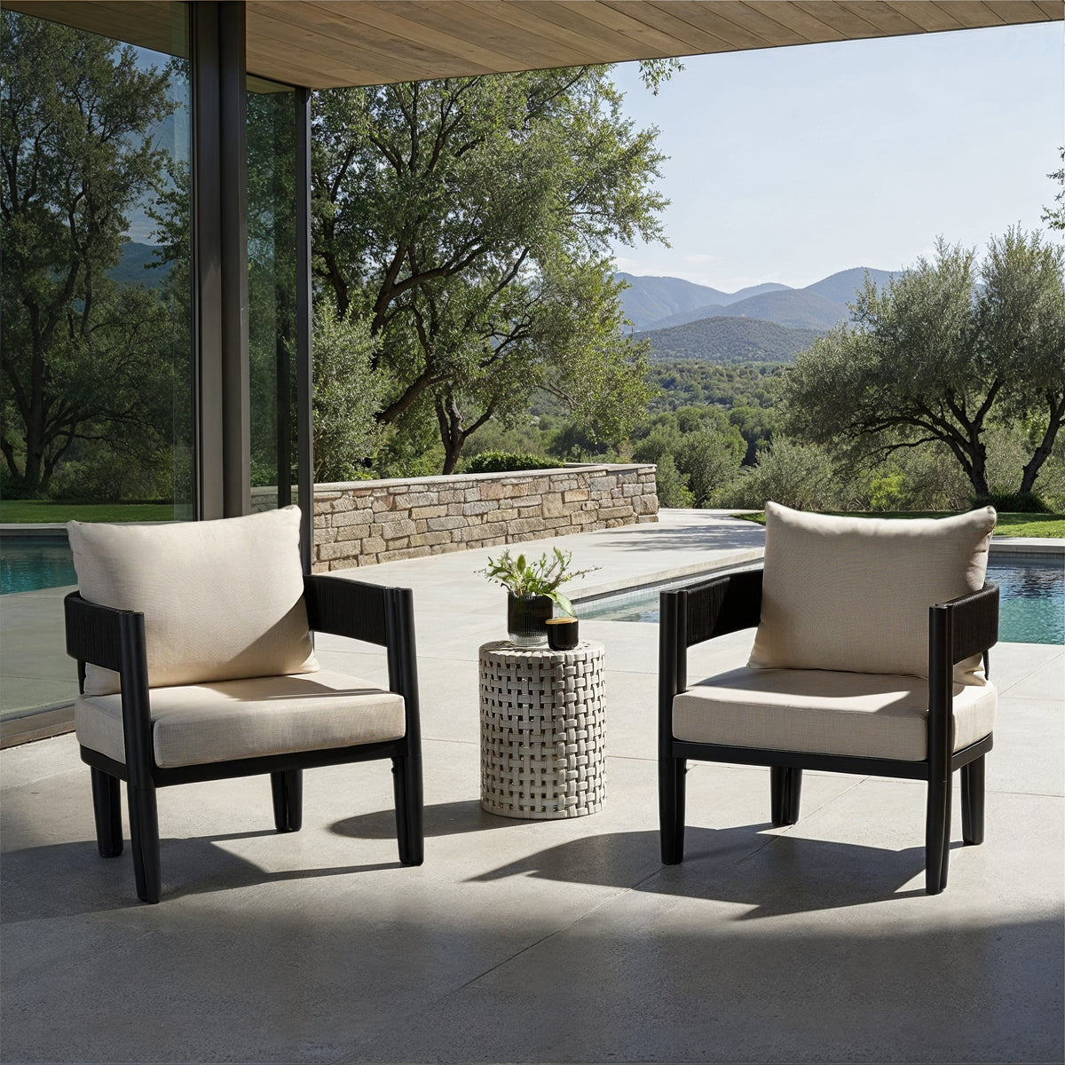 Viola Chair in Black and Taupe — Set of 2