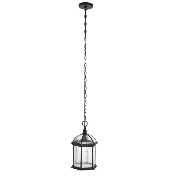 Falyn Outdoor Pendant Lighting in Black