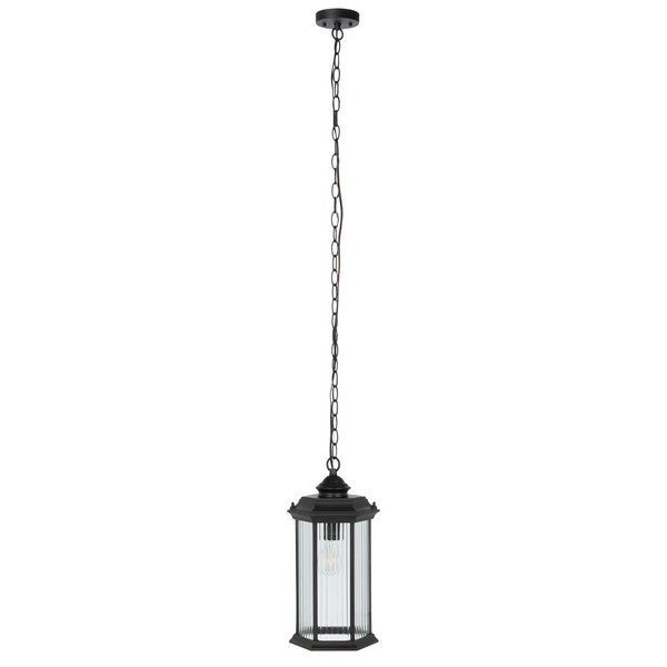 Hylan Outdoor Steel Pendant Lighting in Black