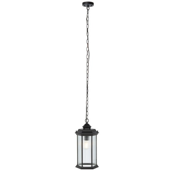 Hylan Outdoor Steel Pendant Lighting in Black