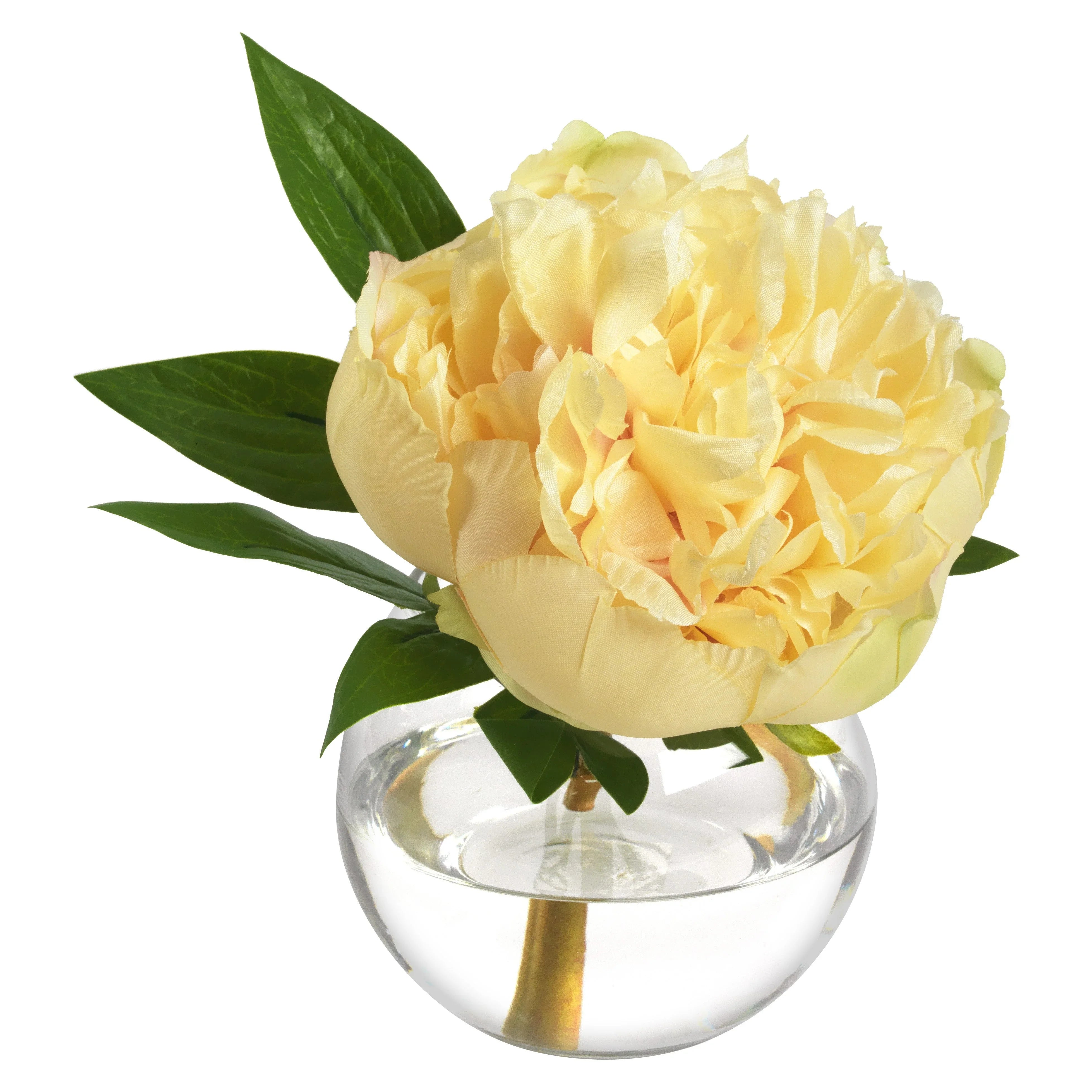 Sun Kissed - The Mayfair Hall