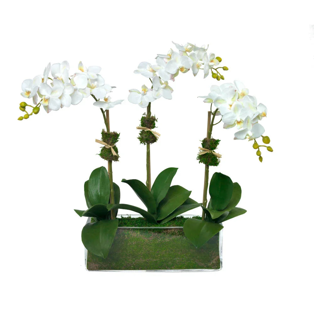 Tres Chic - The Mayfair Hall