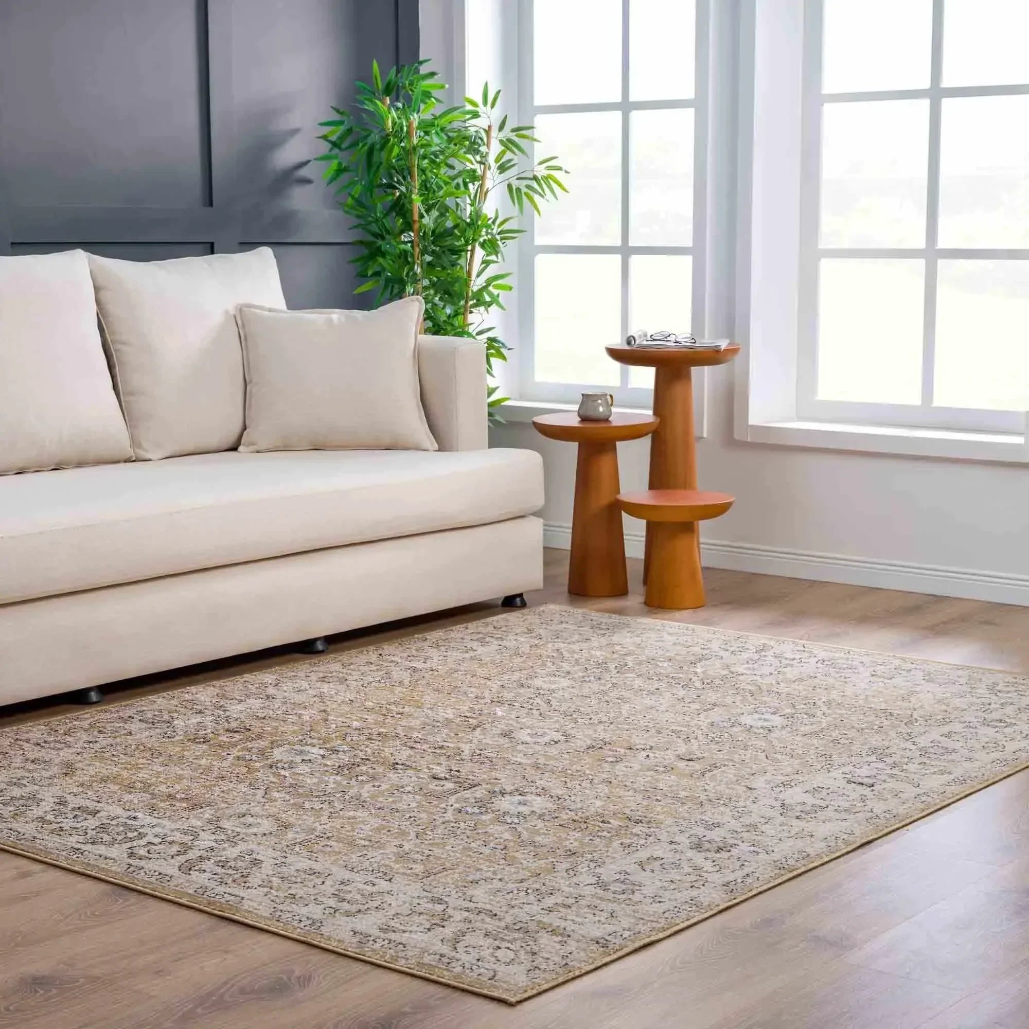 Anana Gold & Beige Area Rug - Clearance - The Mayfair Hall