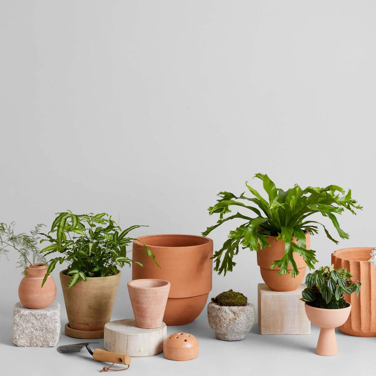 Big Cuff Planter - The Mayfair Hall