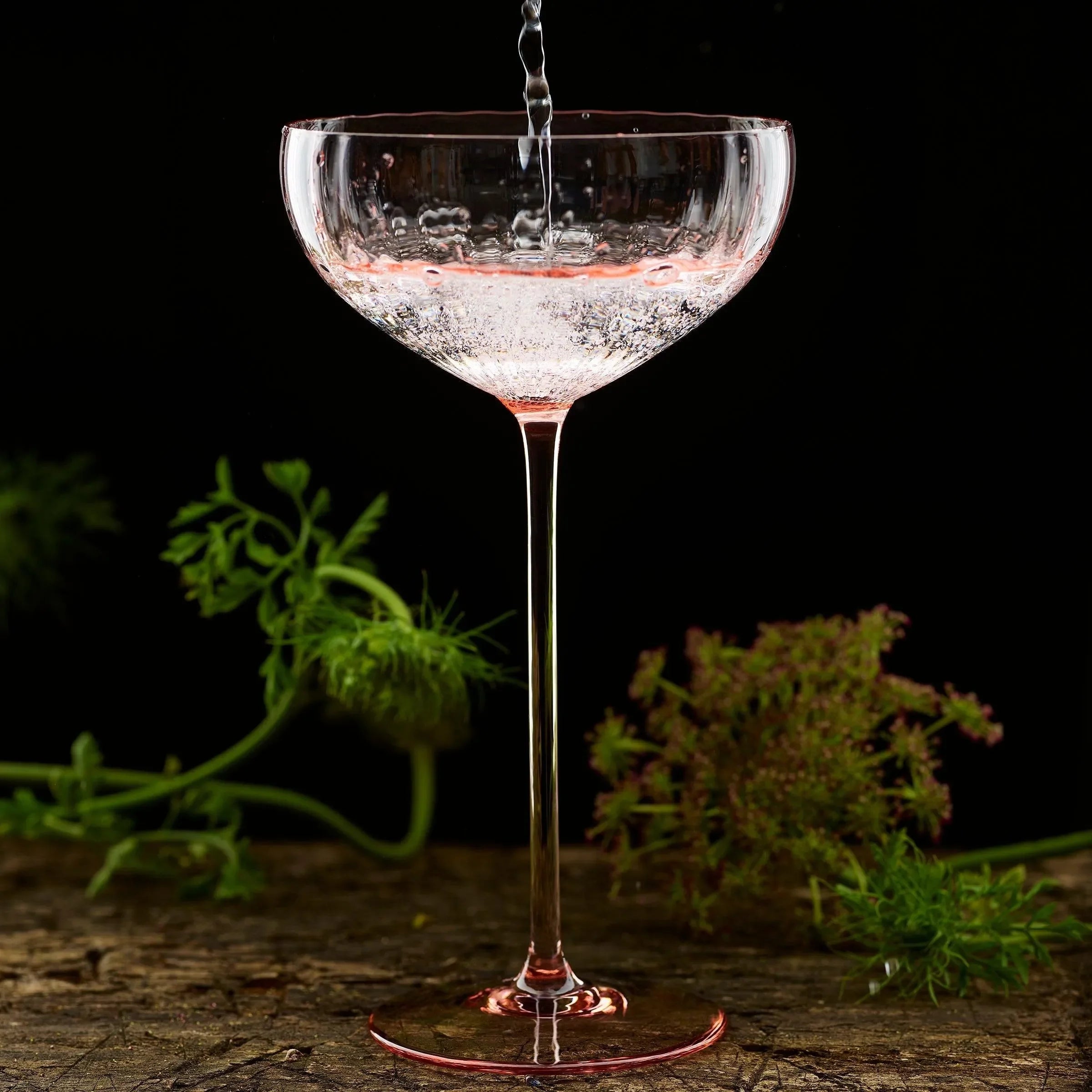 Quinn Coupe Glasses 8 Oz. (Set of 2) - The Mayfair Hall