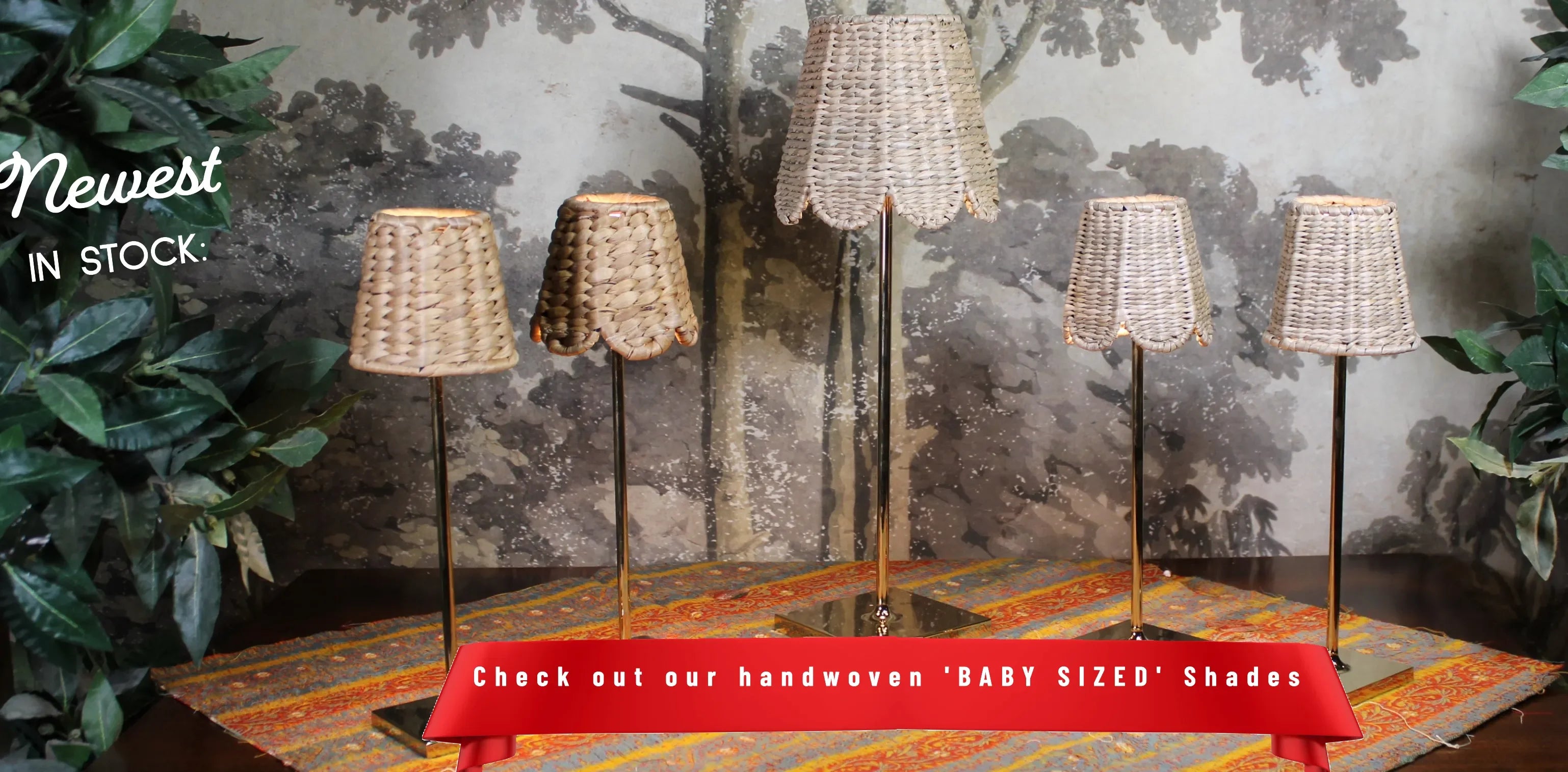 MICRO Seagrass (Empire Base) - The Mayfair Hall