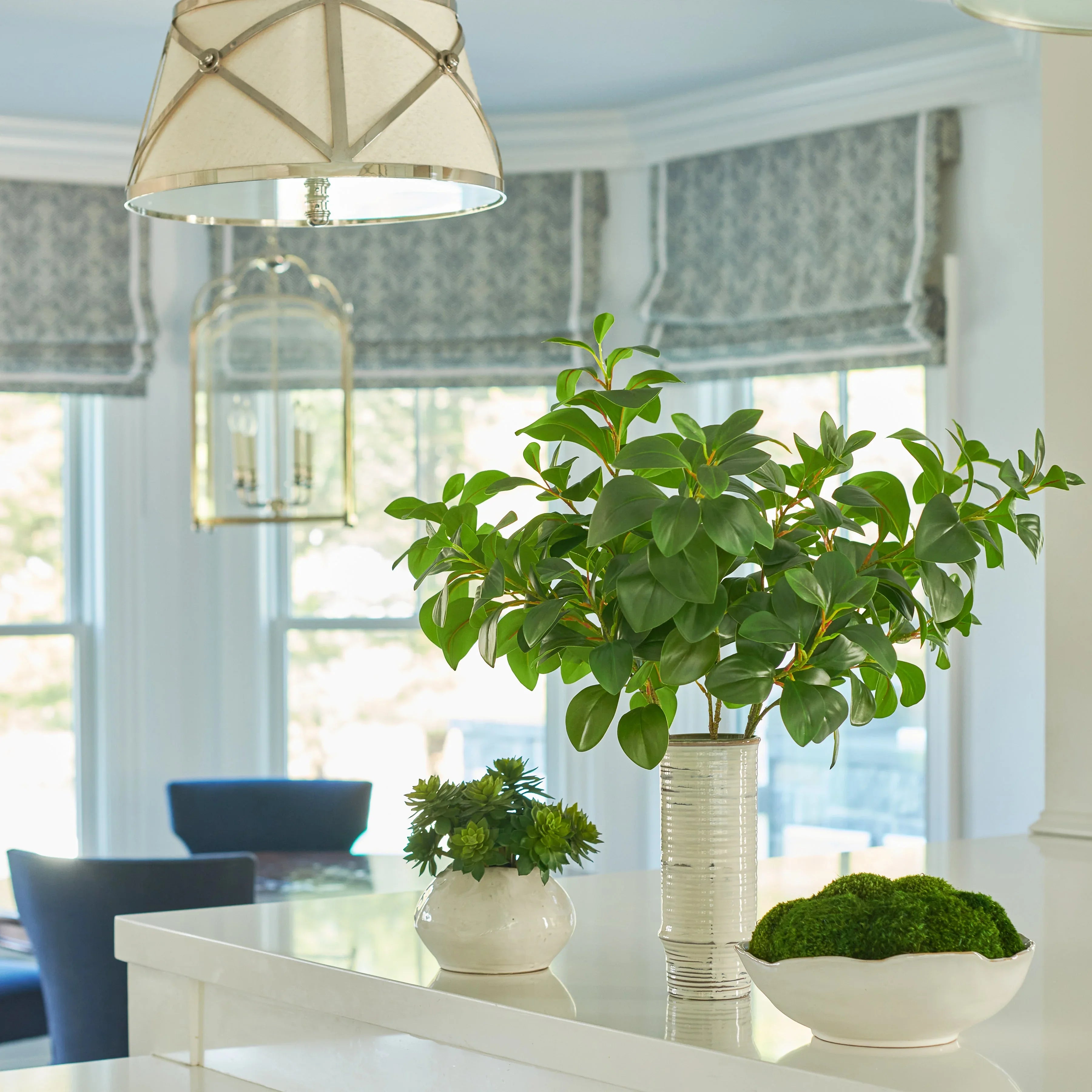 Mossy Mood - The Mayfair Hall