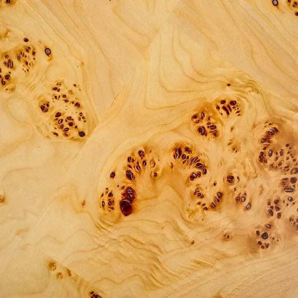 Everbella Burled Mappa Wood Coffee Table in Natural - The Mayfair Hall