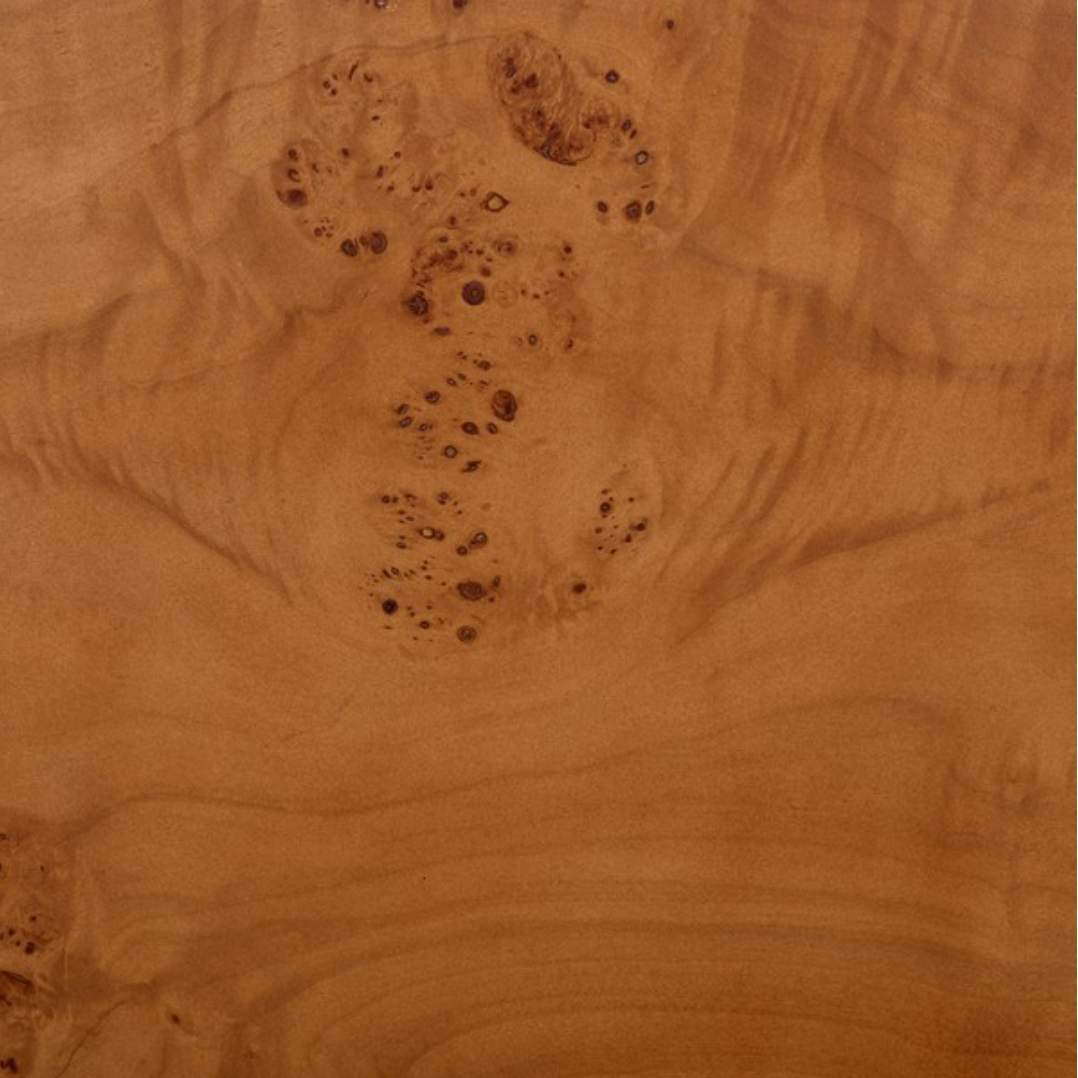 Tessly Burl Veneer Console Table in Walnut