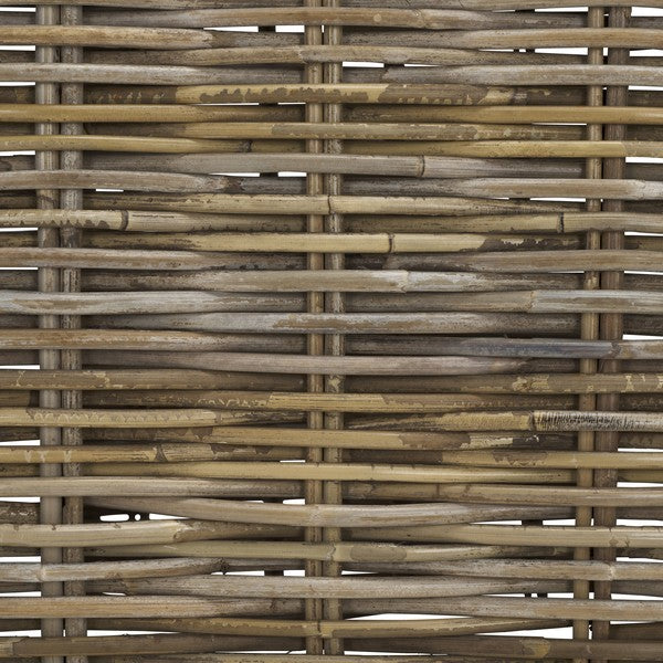 Elyse Rattan Trunk in Natural Unfinished