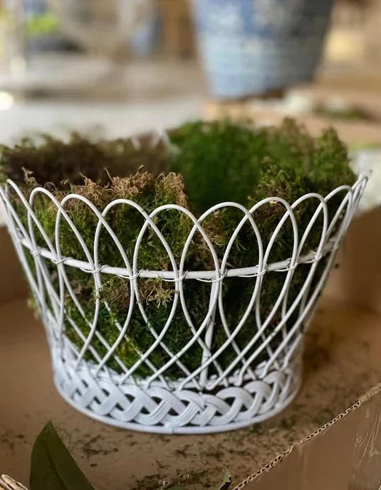 Straight Round French Wire Basket - The Mayfair Hall