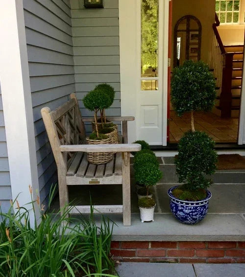 ROUND CHERRY BLOSSOM FISHBOWL - The Mayfair Hall