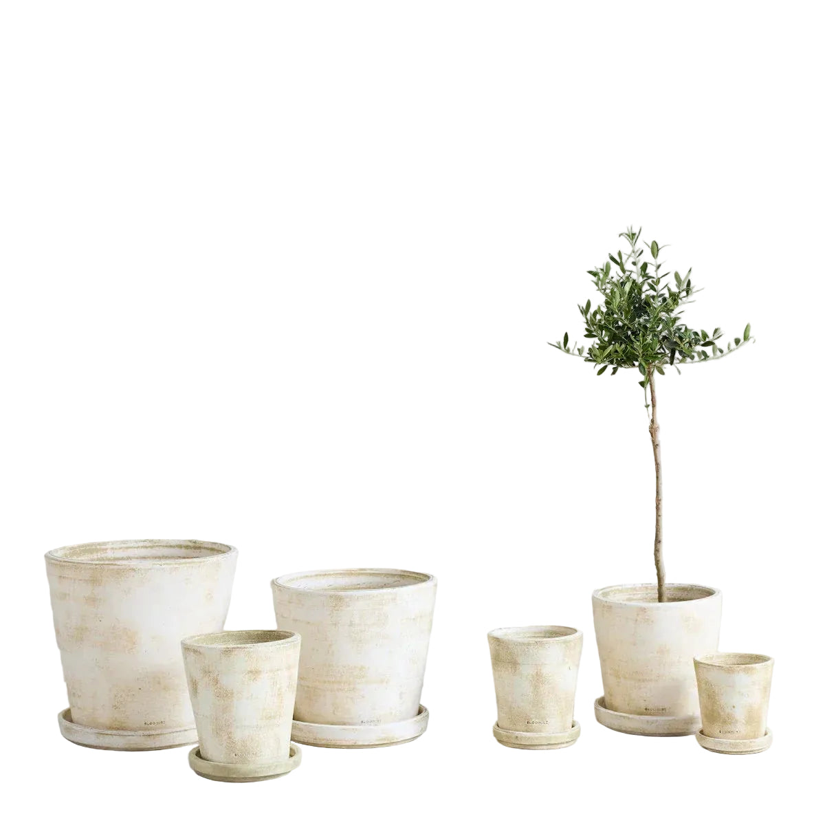 Basic Planter, White Patina - The Mayfair Hall