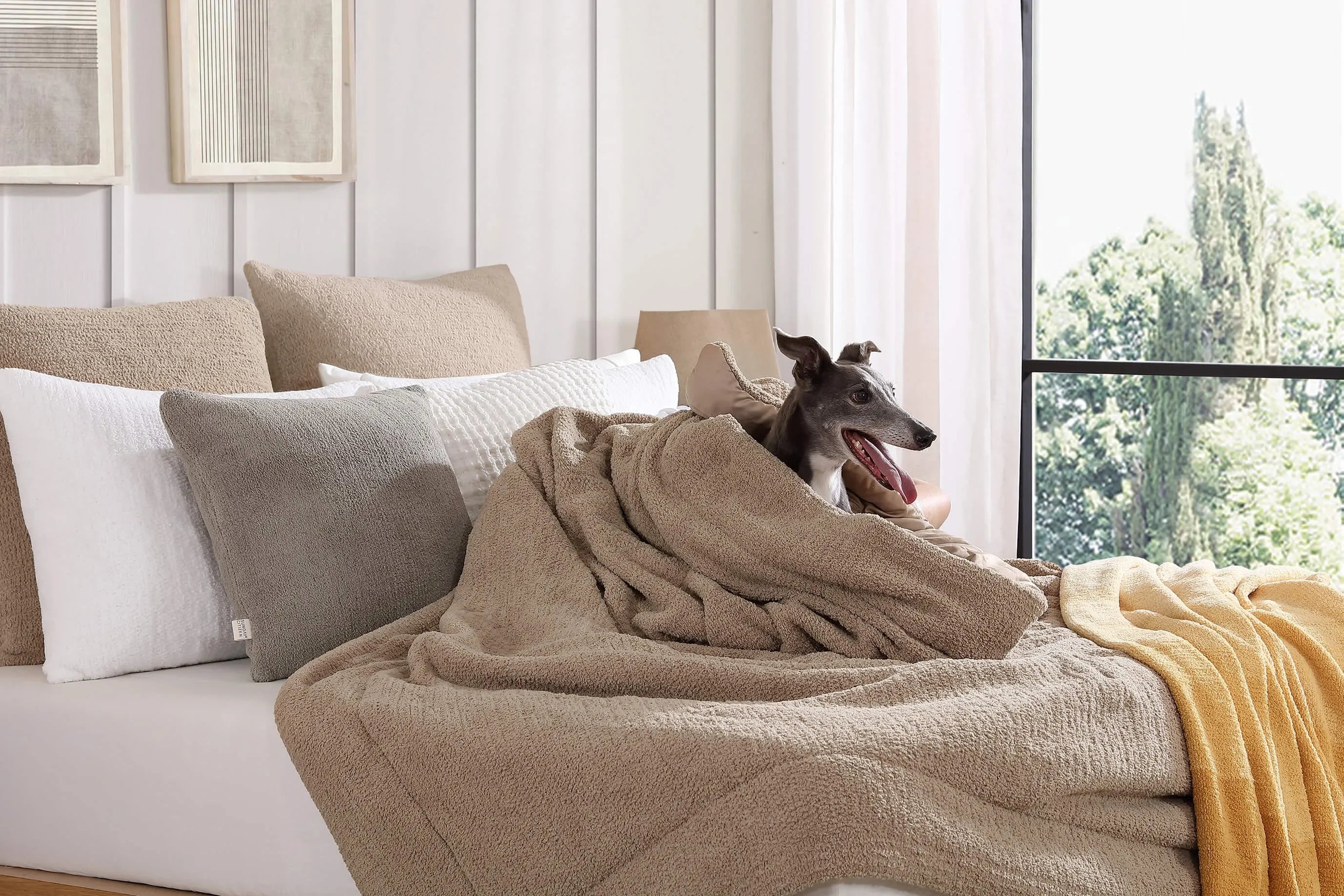Snug Comforter - The Mayfair Hall