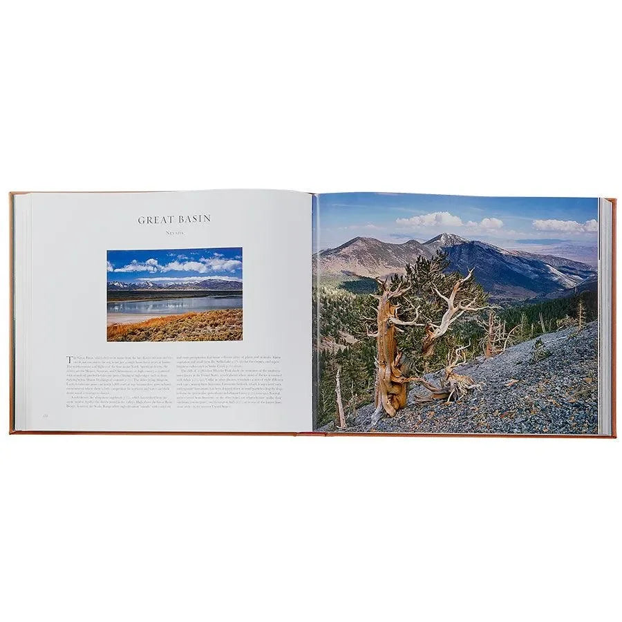 Treasured Lands - The Mayfair Hall