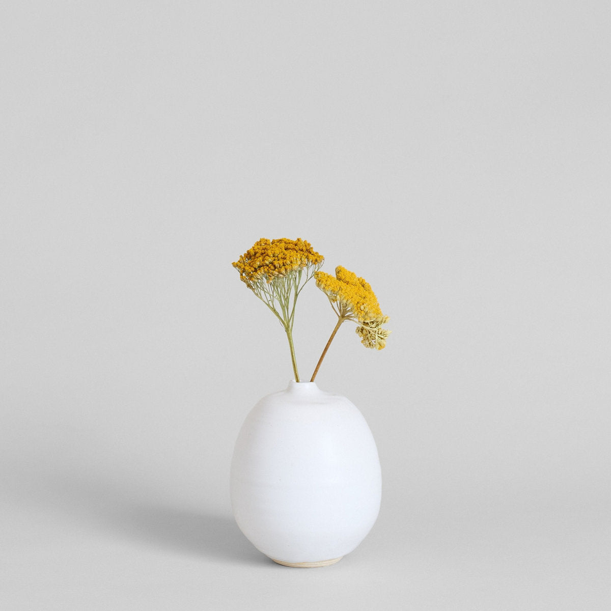 Dried Natural Yarrow