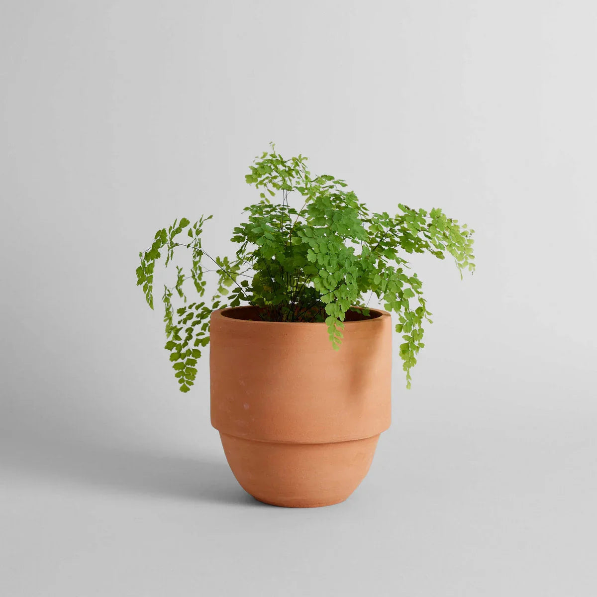Big Cuff Planter - The Mayfair Hall