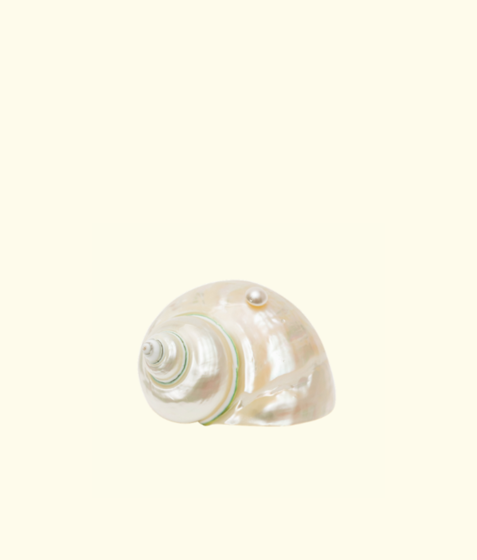 Seashell Decorative Object, Pearl