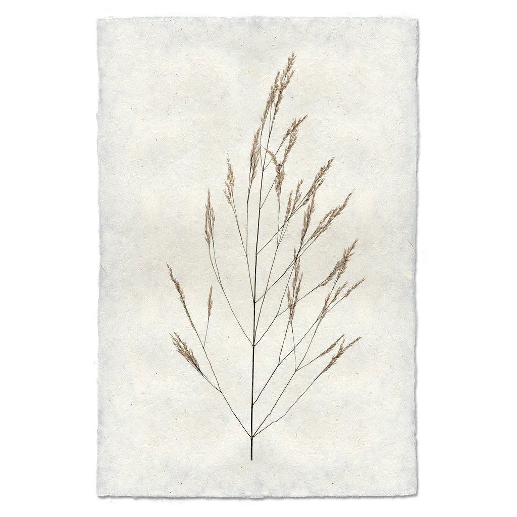 Wheat Form - The Mayfair Hall