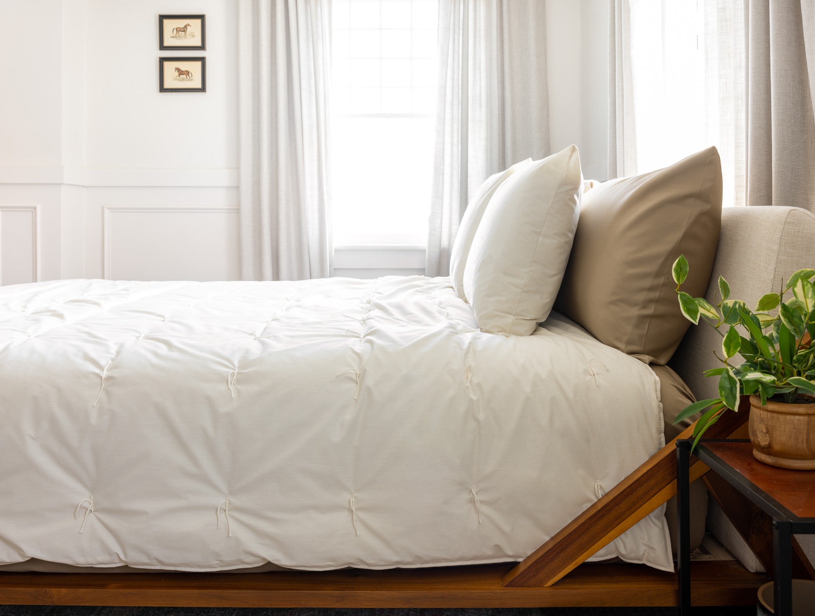 Wool Comforter + Pillow Set