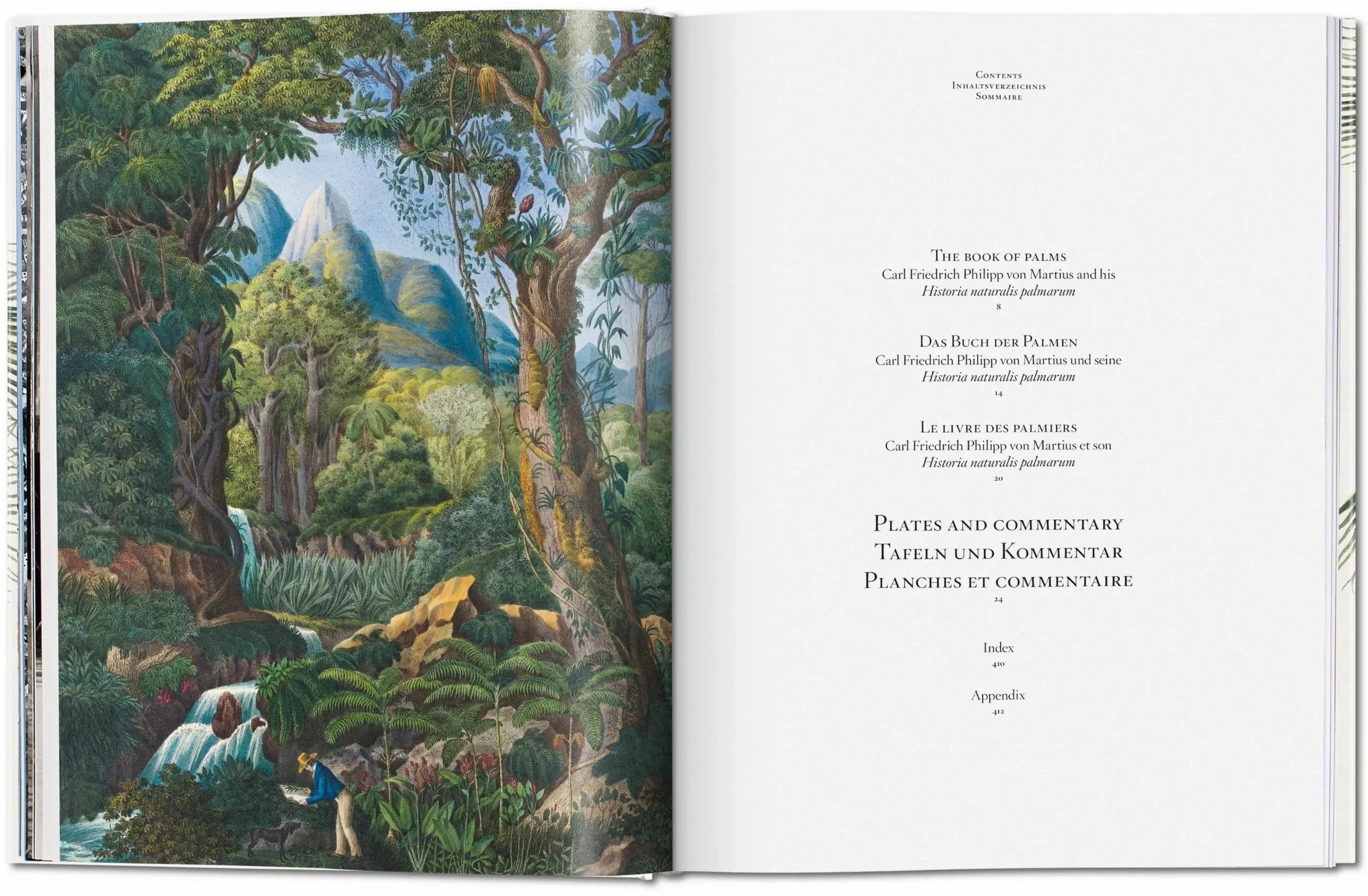 Martius. The Book of Palms (German, French, English) - The Mayfair Hall
