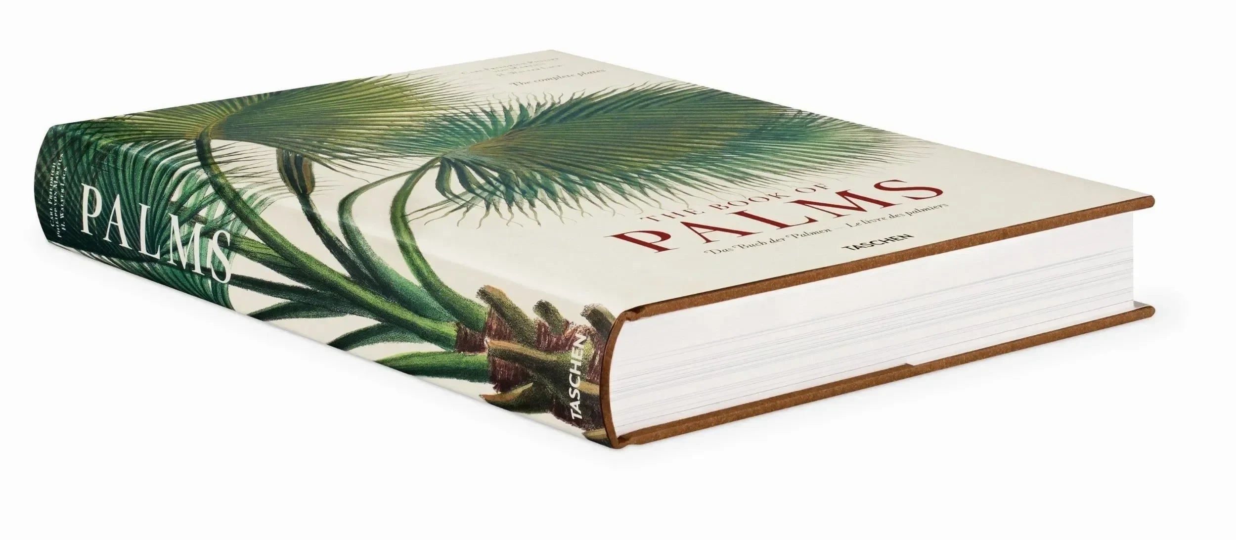 Martius. The Book of Palms (German, French, English) - The Mayfair Hall