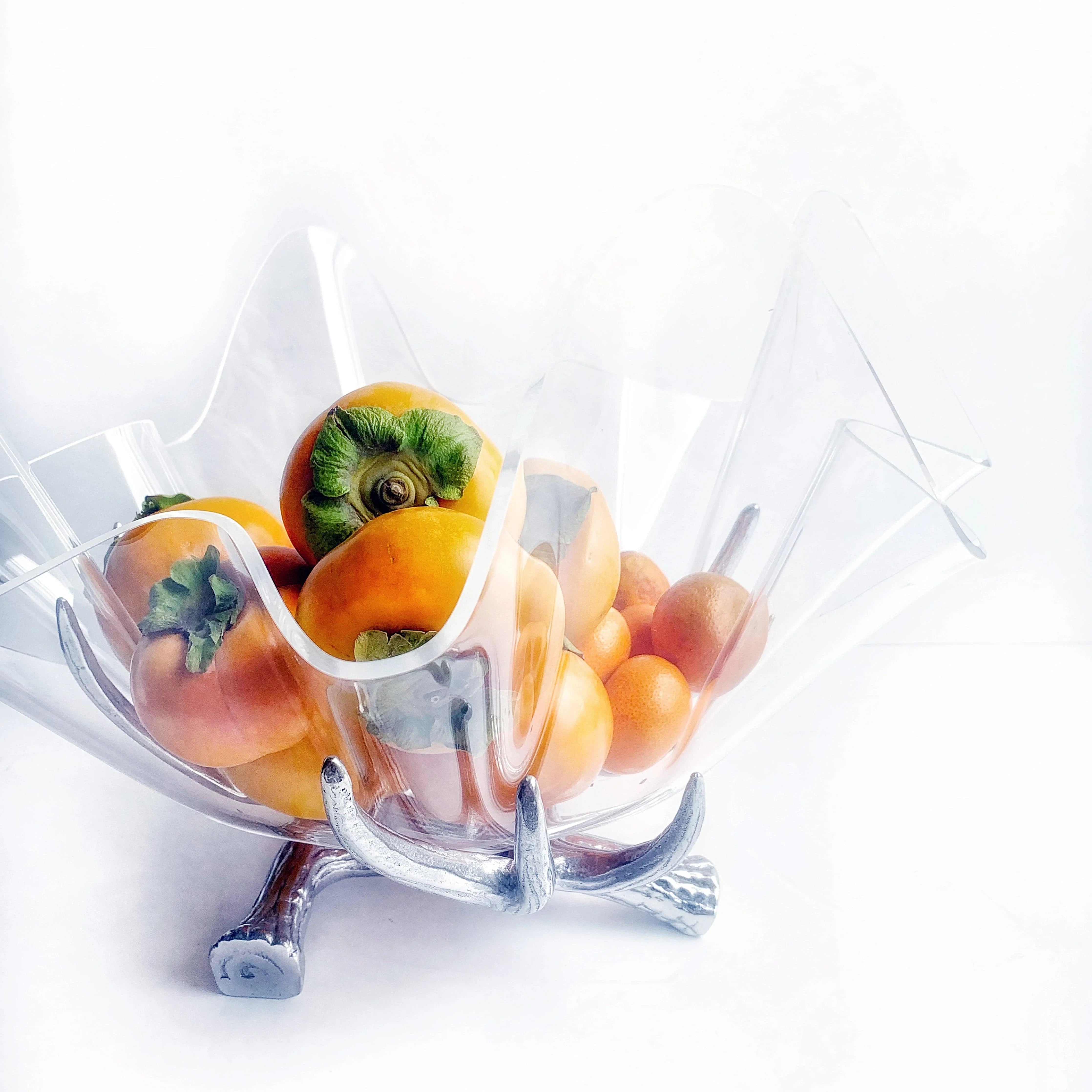 Antler Stand Acrylic Bowl 14