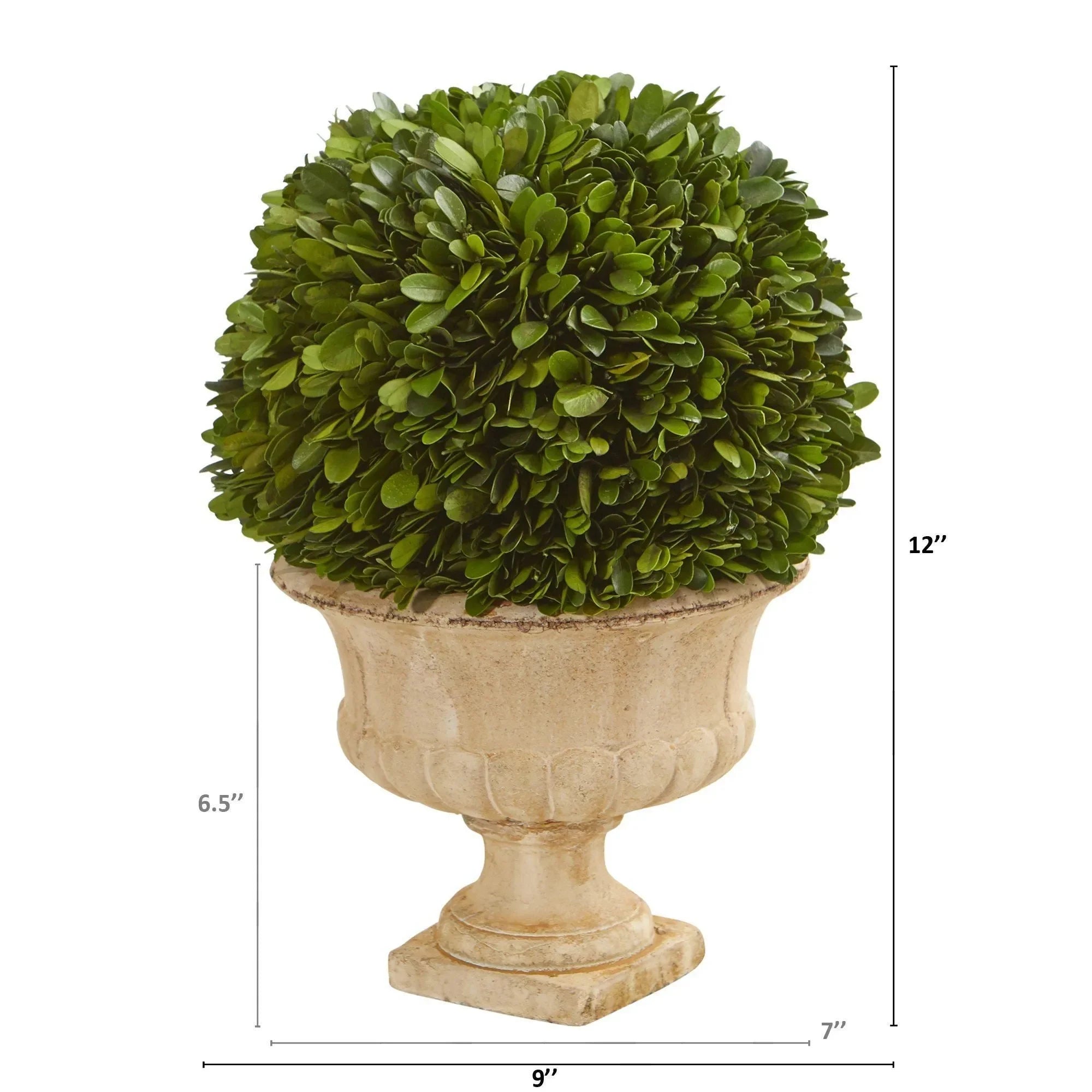 12” Boxwood Topiary Ball Preserved Plant in Decorative Urn - The Mayfair Hall