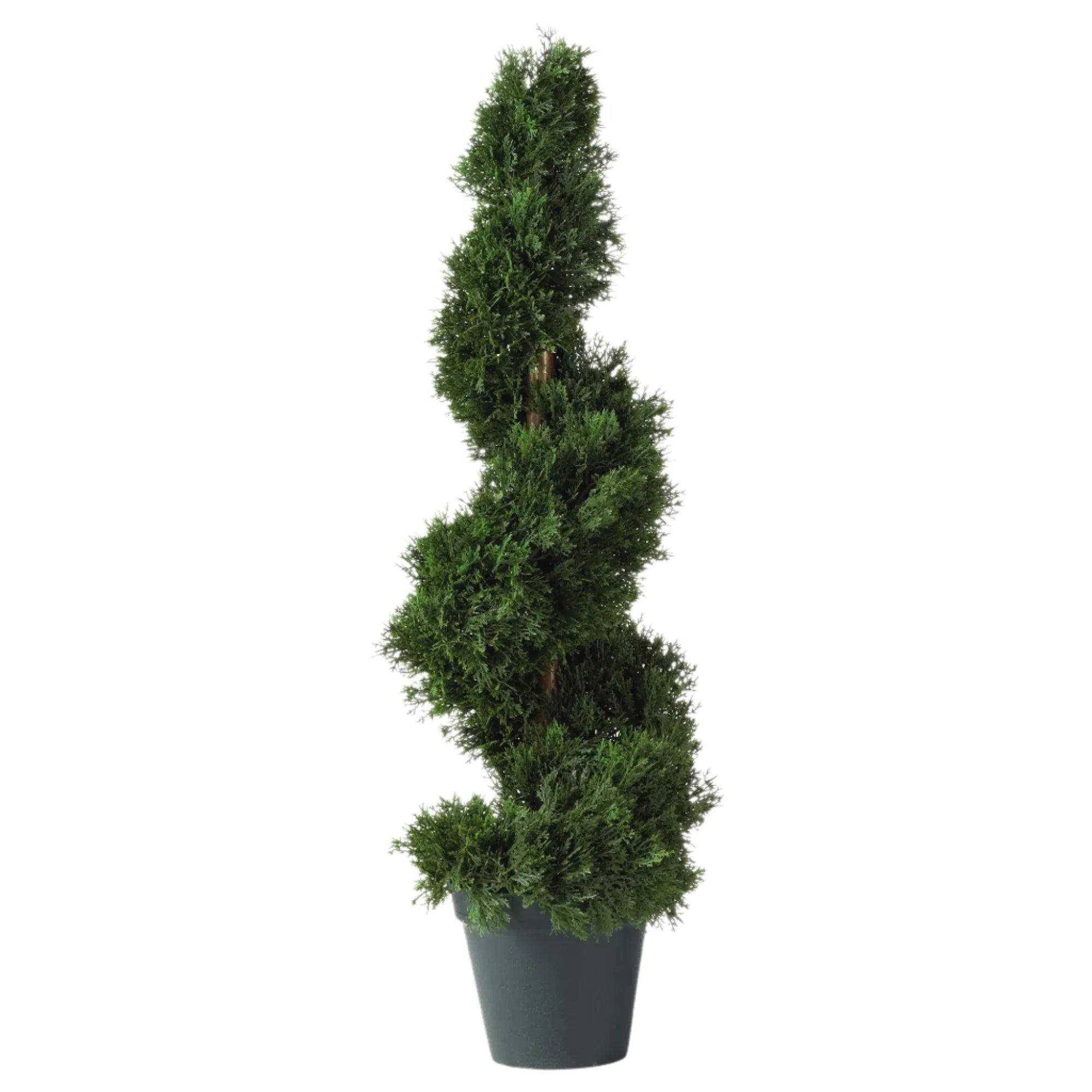 2' Cedar Spiral Silk Tree (In-door/Out-door) - The Mayfair Hall