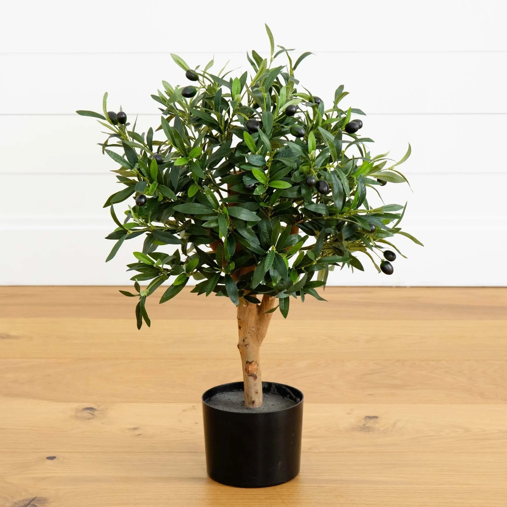 2' Olive Artificial Tree - The Mayfair Hall