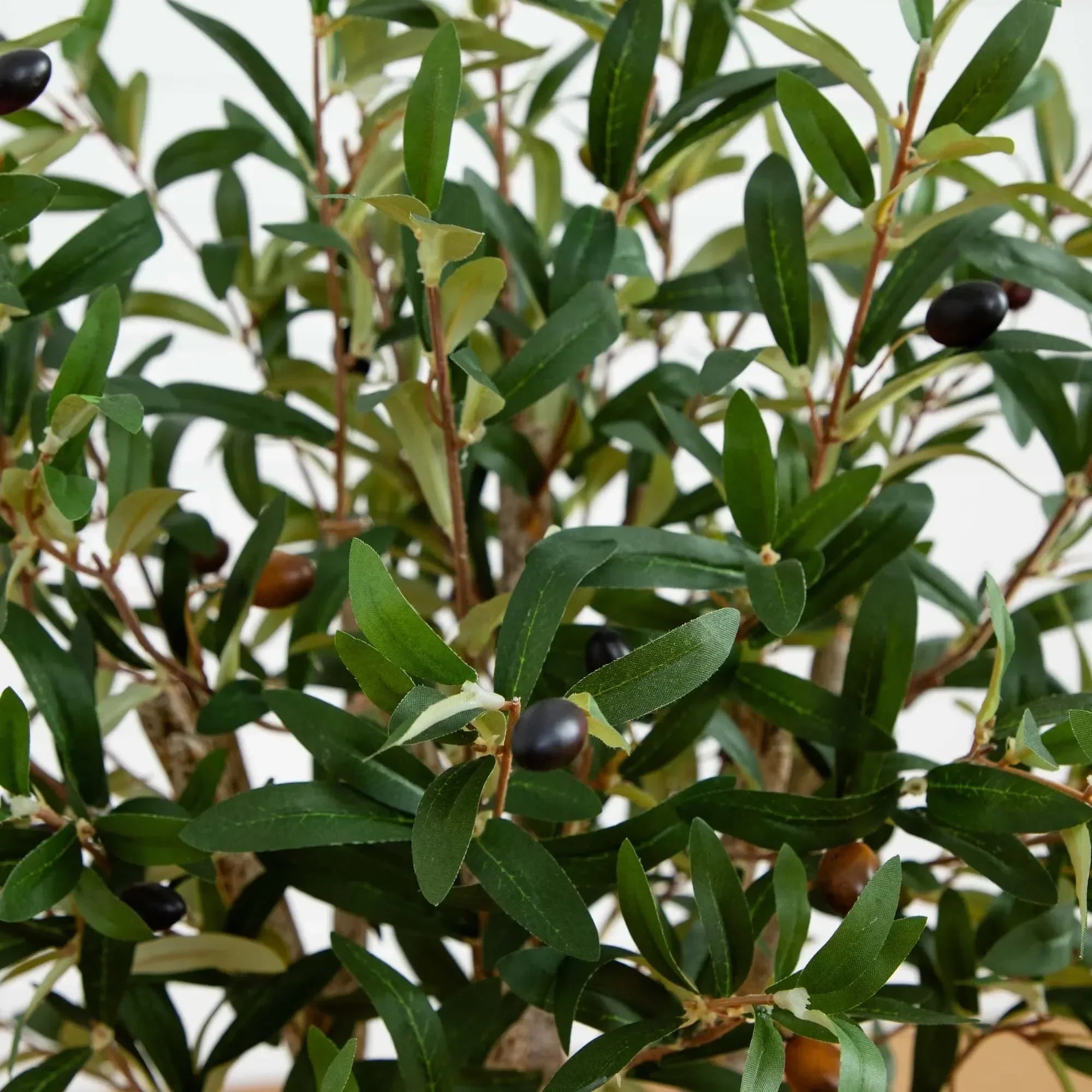 2’ Olive Artificial Tree - The Mayfair Hall