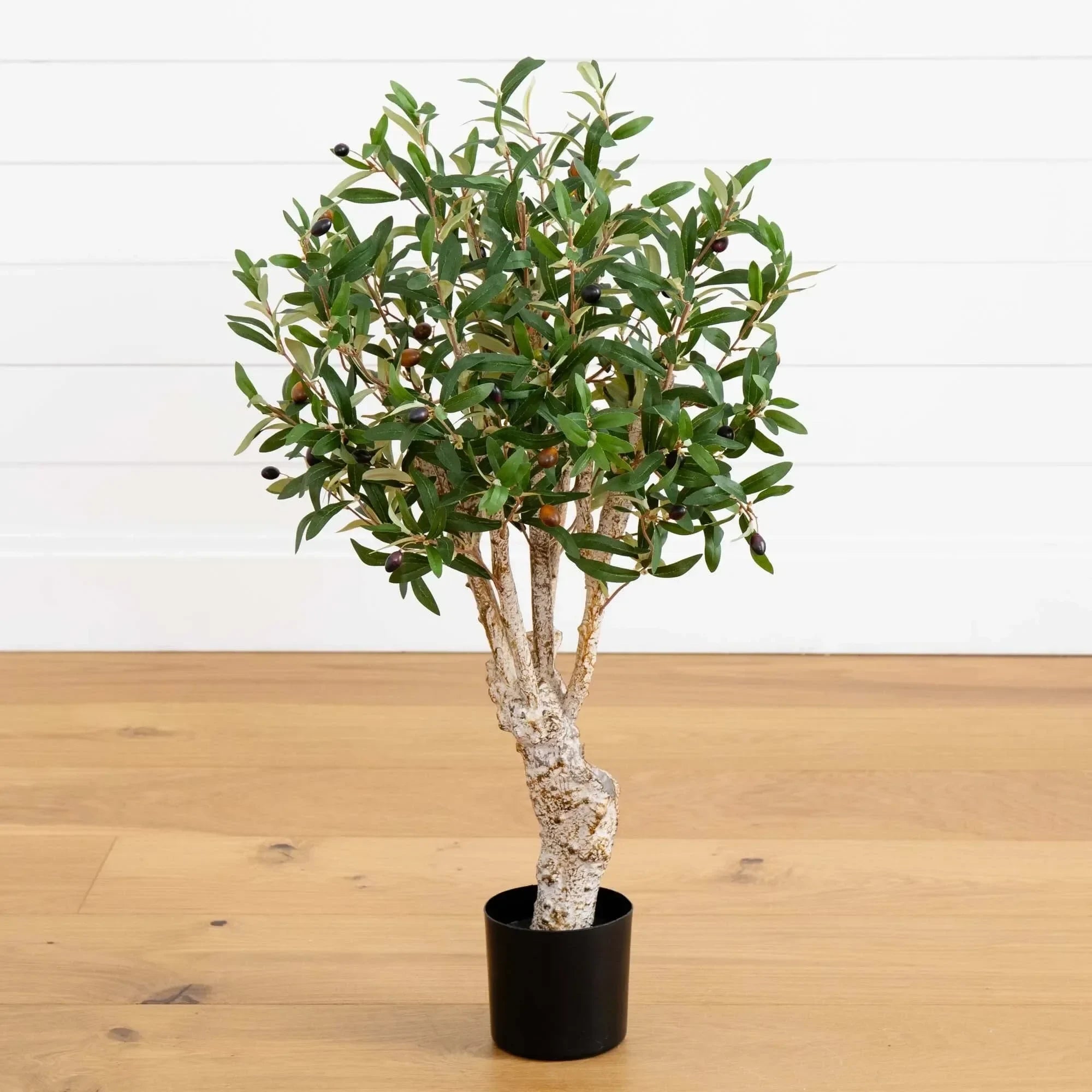 2’ Olive Artificial Tree - The Mayfair Hall