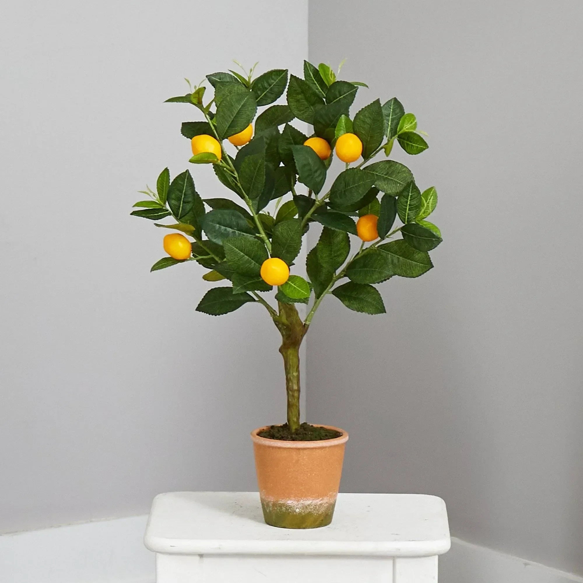 24” Lemon Artificial Tree - The Mayfair Hall