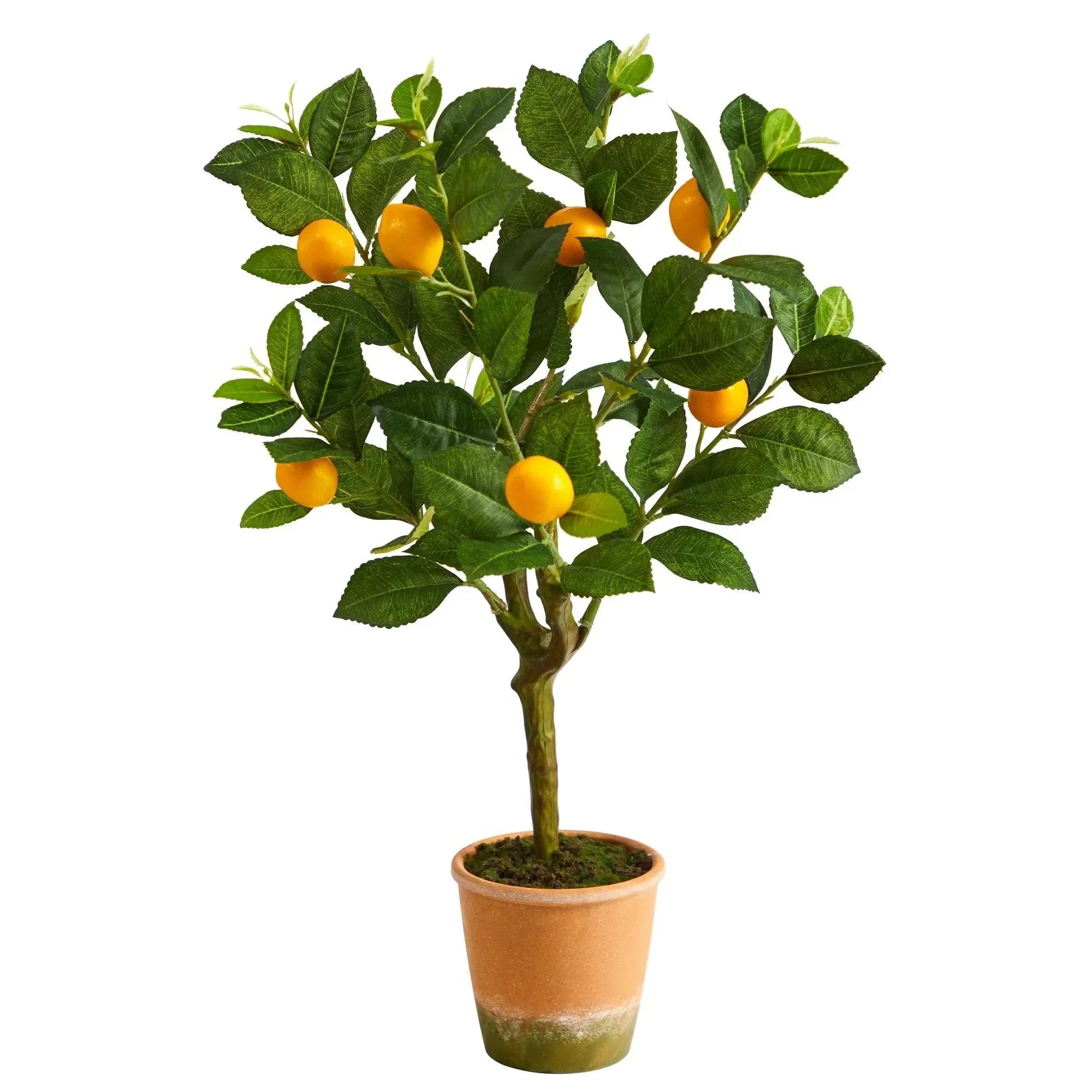 24” Lemon Artificial Tree - The Mayfair Hall