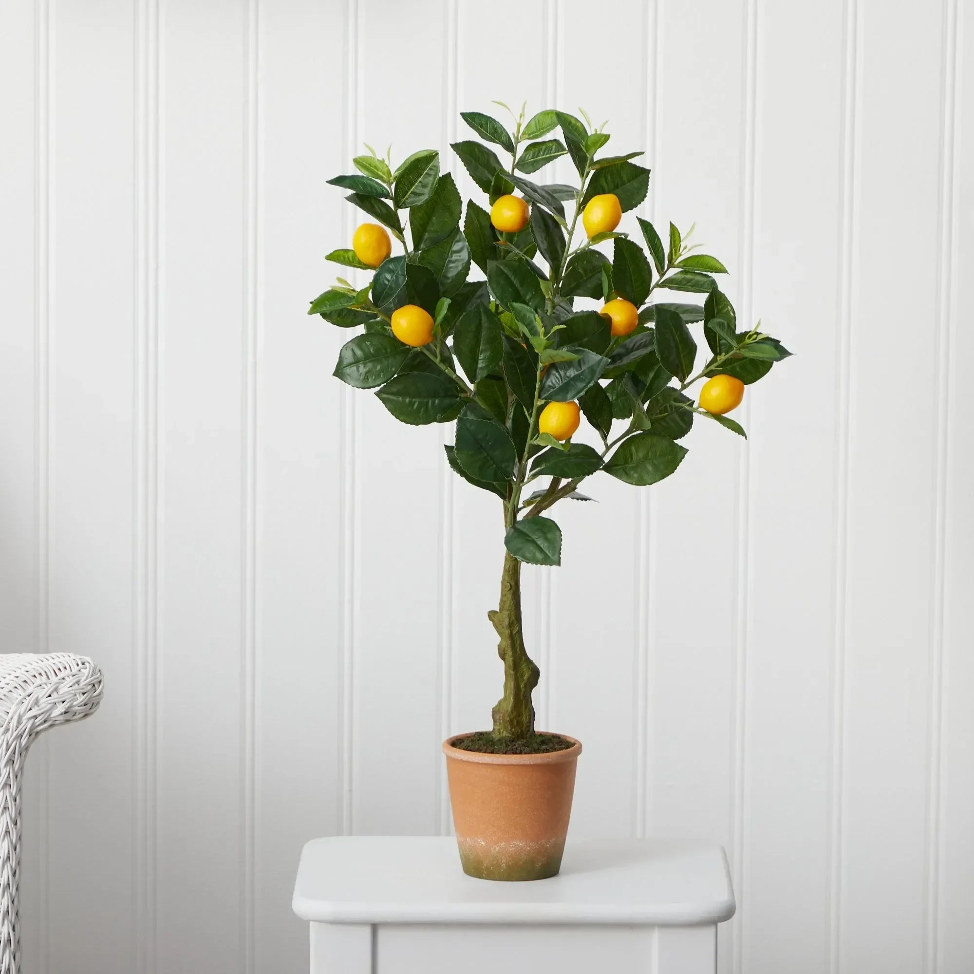 28” Lemon Artificial Tree in Decorative Planter - The Mayfair Hall