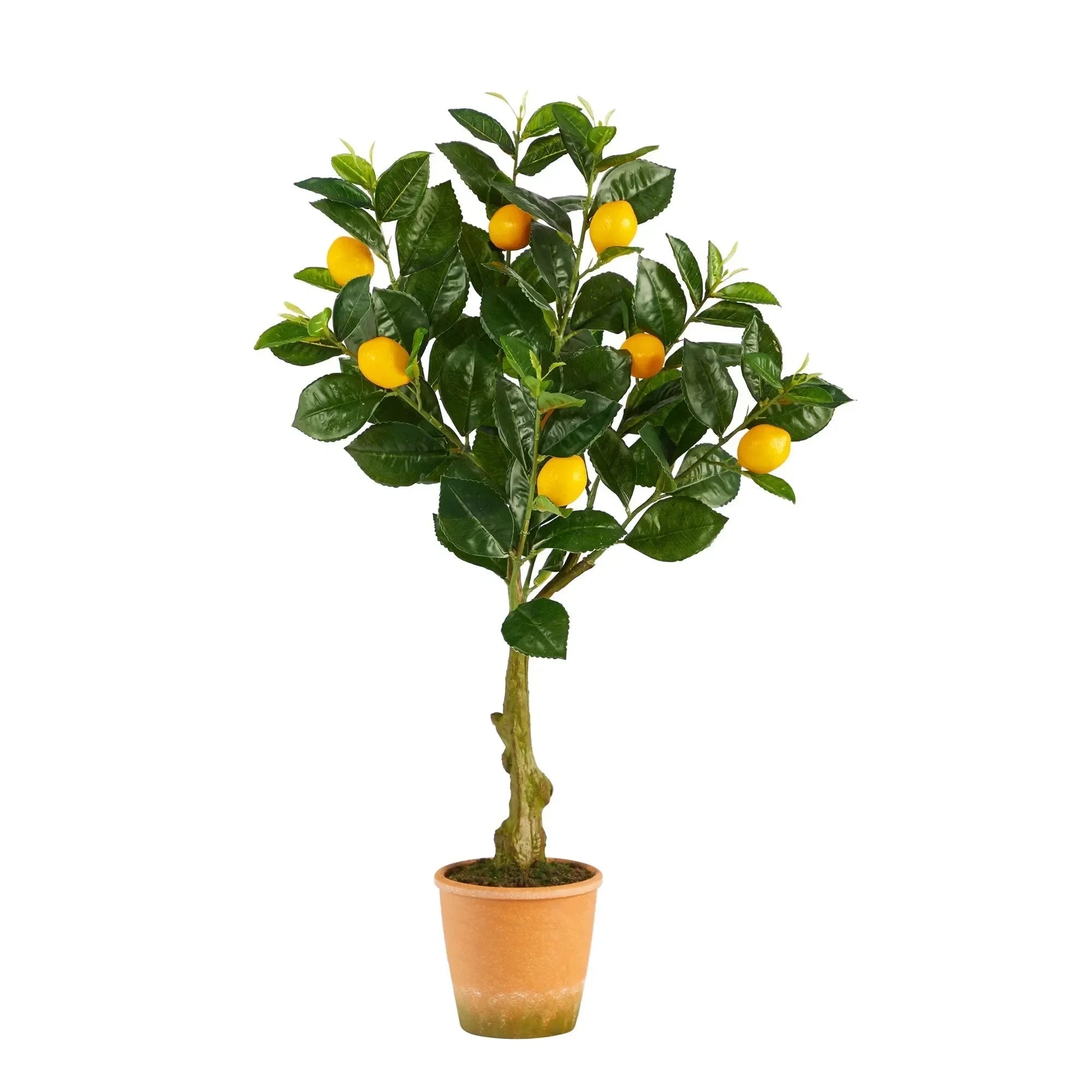 28” Lemon Artificial Tree in Decorative Planter - The Mayfair Hall