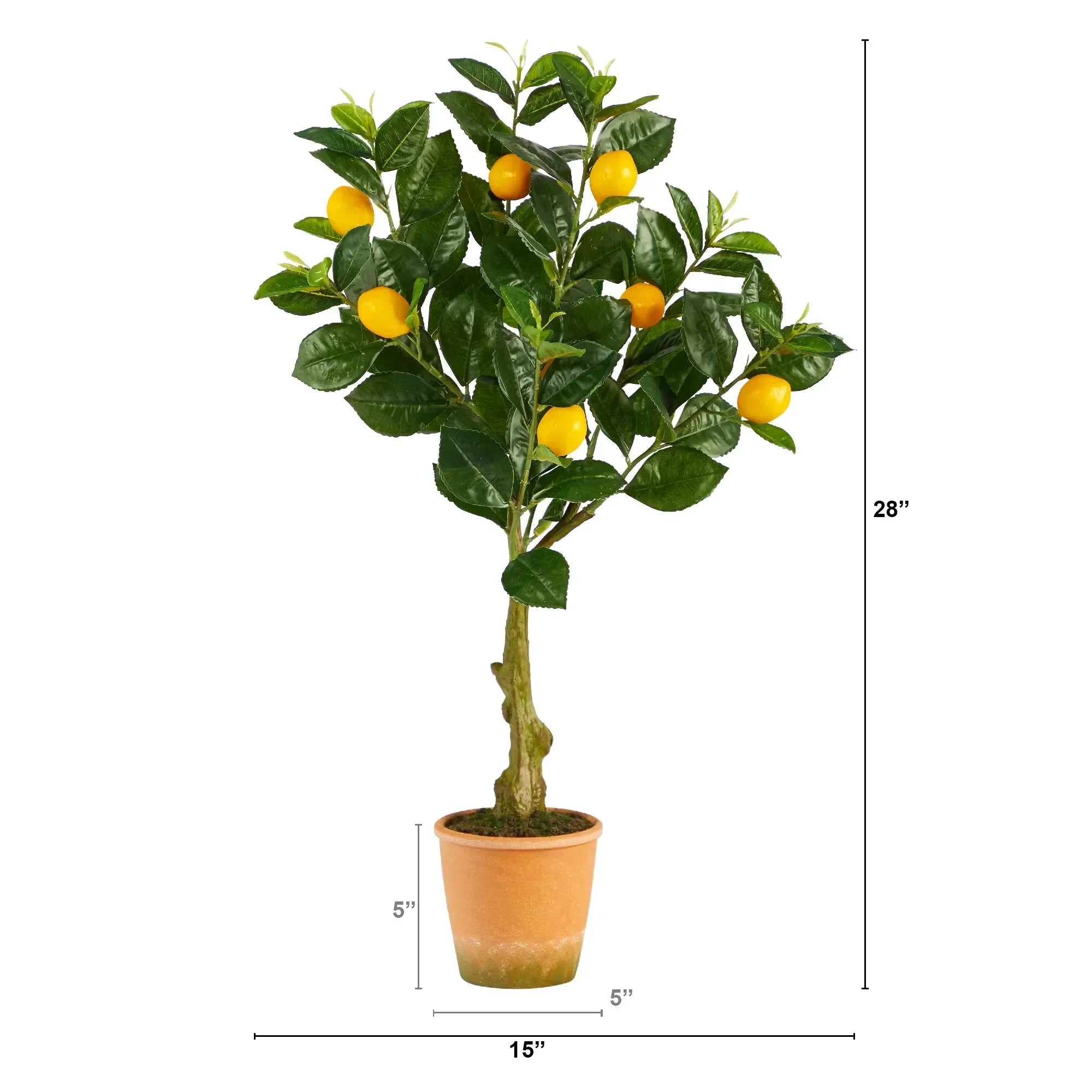 28” Lemon Artificial Tree in Decorative Planter - The Mayfair Hall