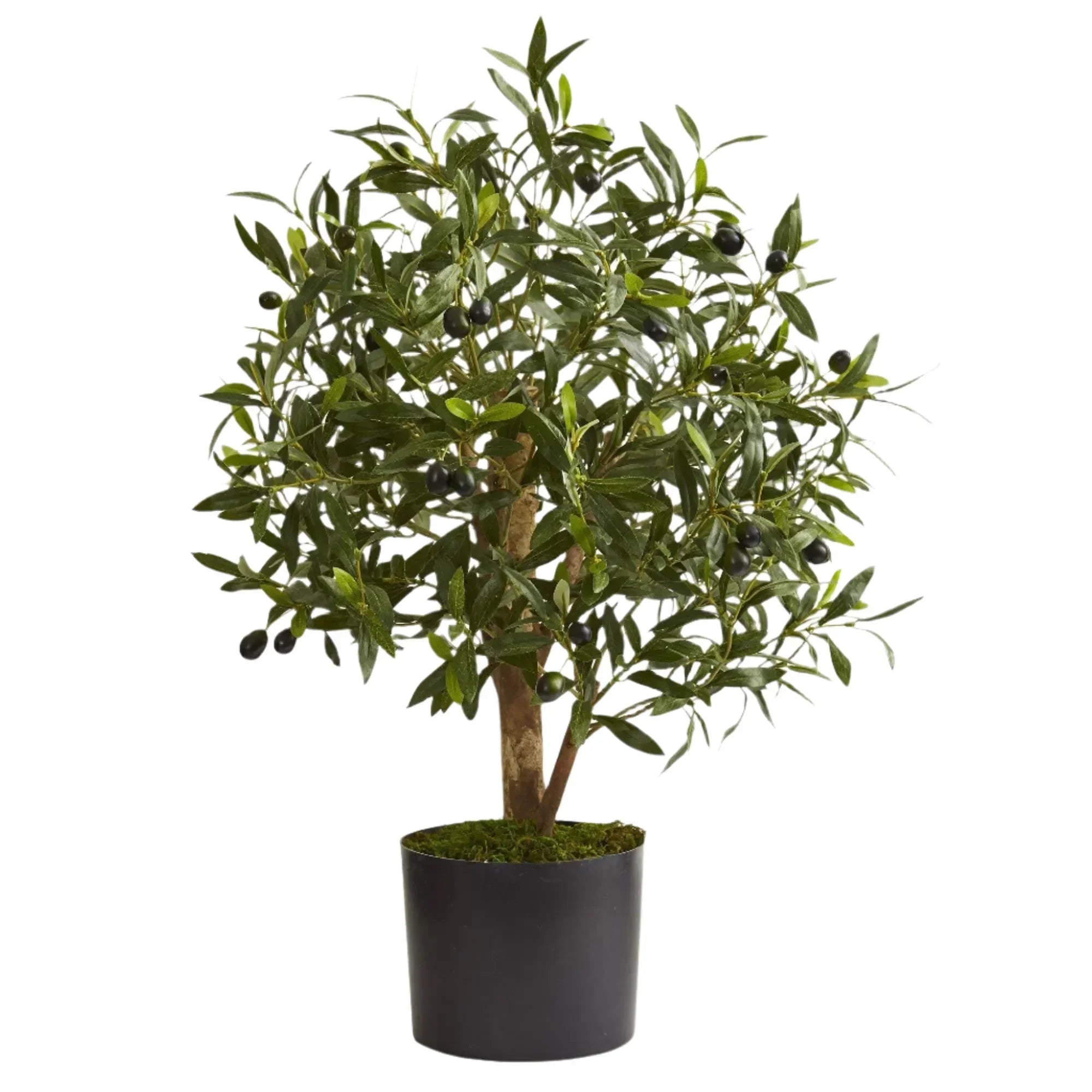 2' Olive Artificial Tree - The Mayfair Hall